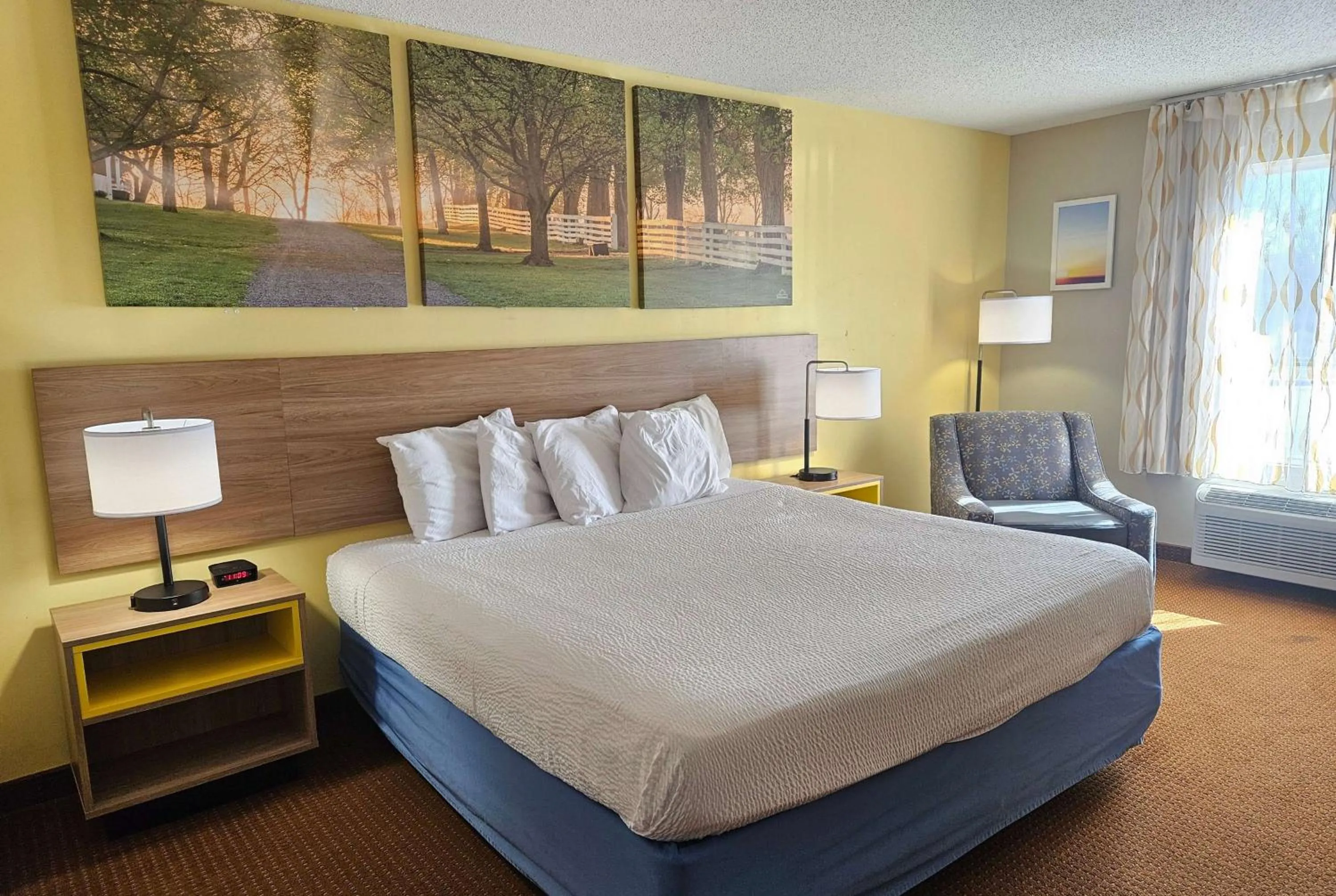 Photo of the whole room, Bed in Days Inn by Wyndham Greensboro NC