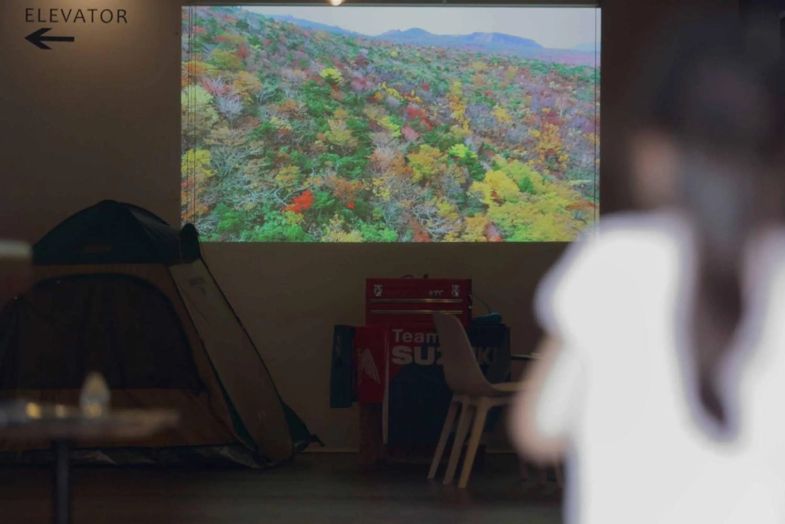 mt. inn(マウントイン）