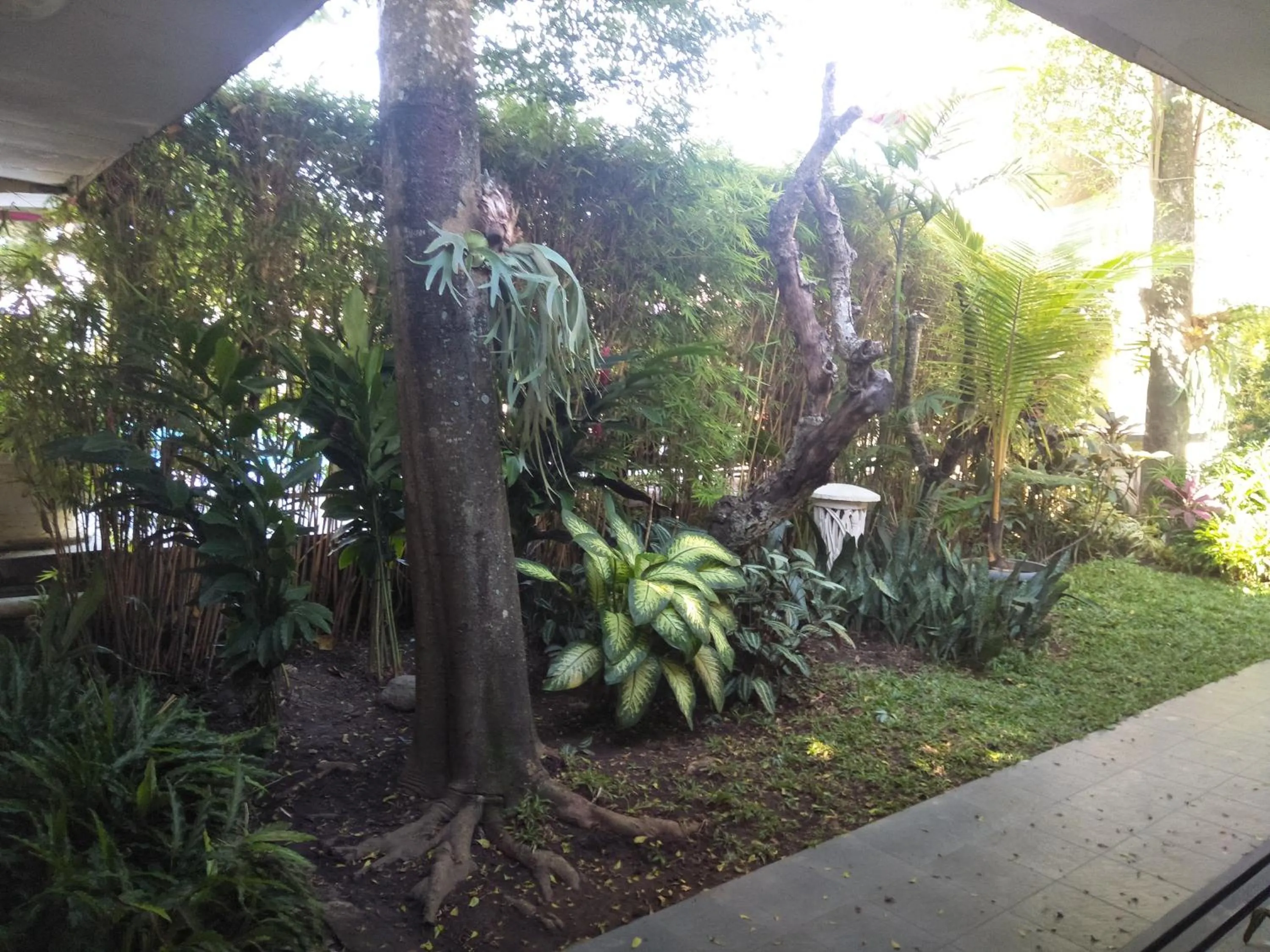 Property building in Hotel Grand Rosela