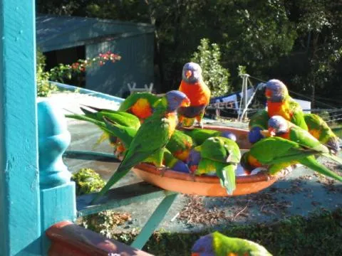 Riviera Bed & Breakfast