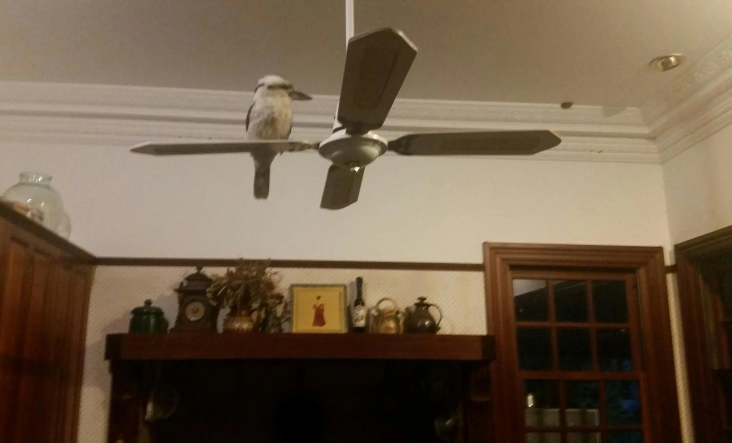 Riviera Bed & Breakfast