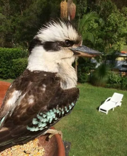 Riviera Bed & Breakfast