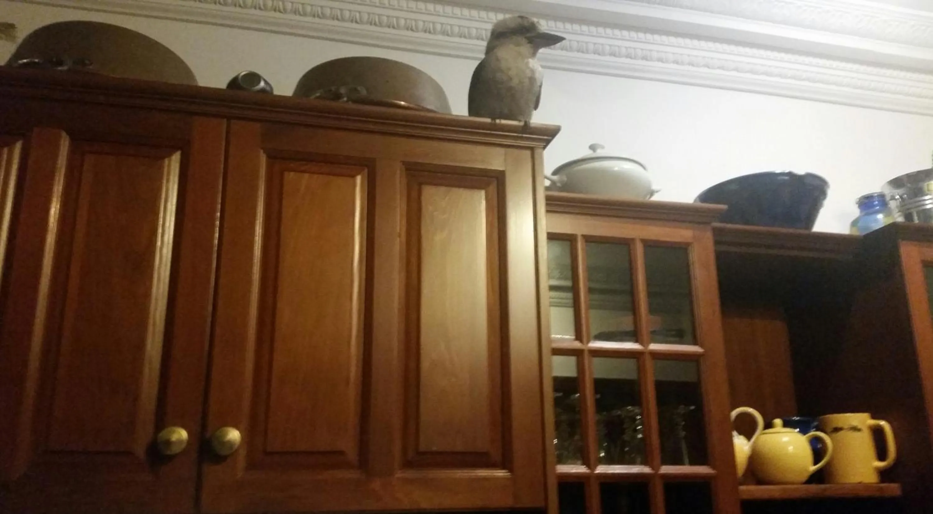 Riviera Bed & Breakfast