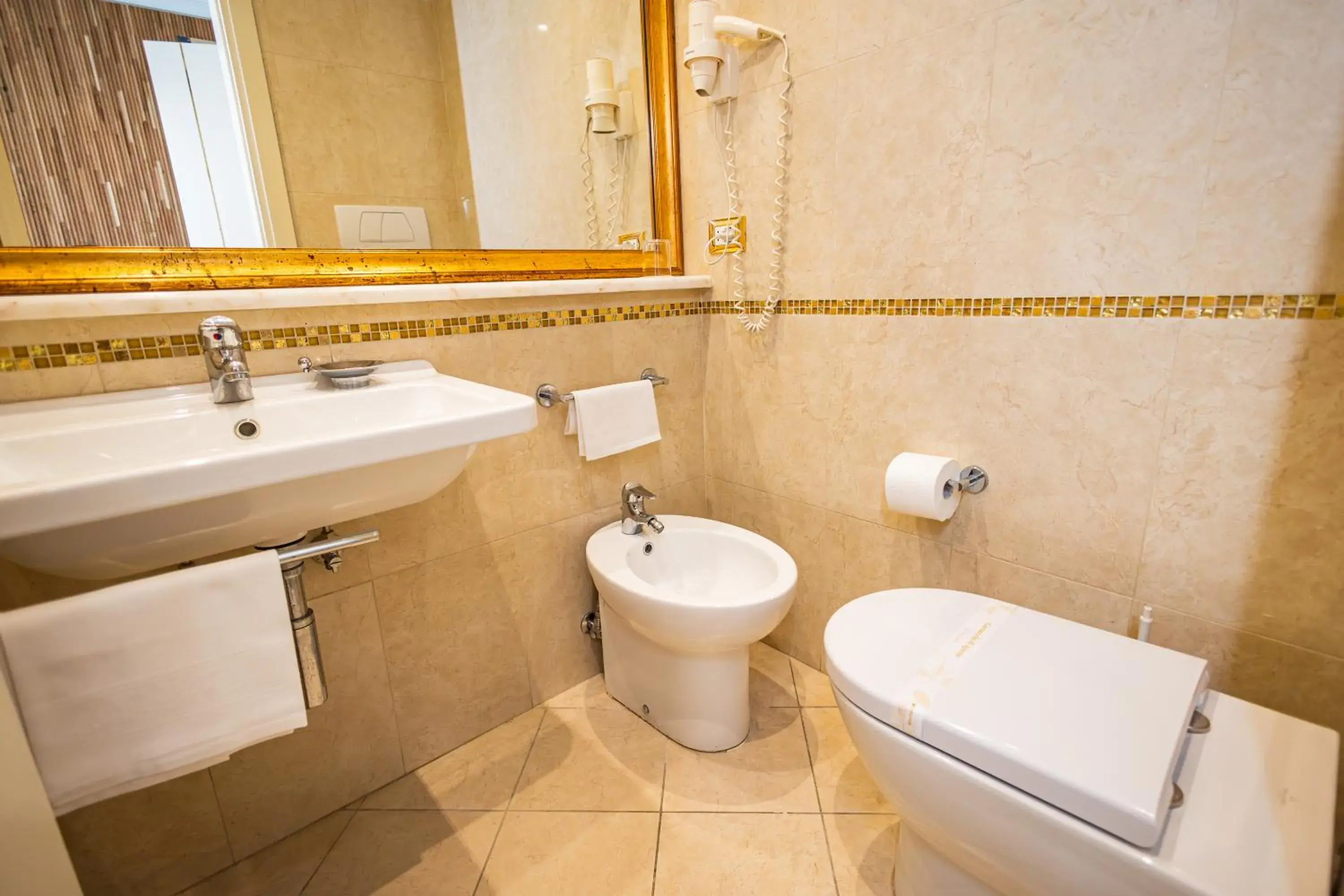 Standard Double or Twin Room in Hotel Terme Formentin Standard Double or Twin Room in Hotel Terme Formentin