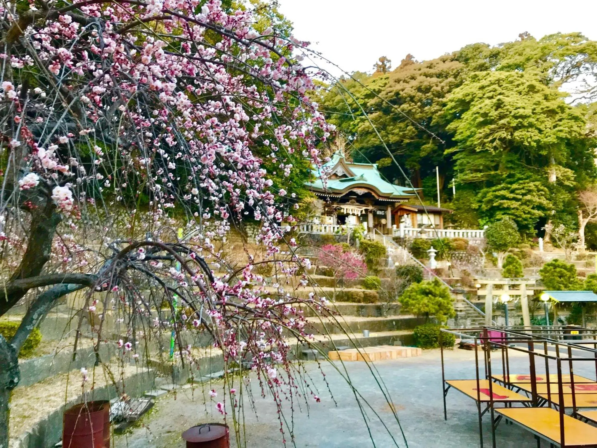 Other in Ohito Hotel