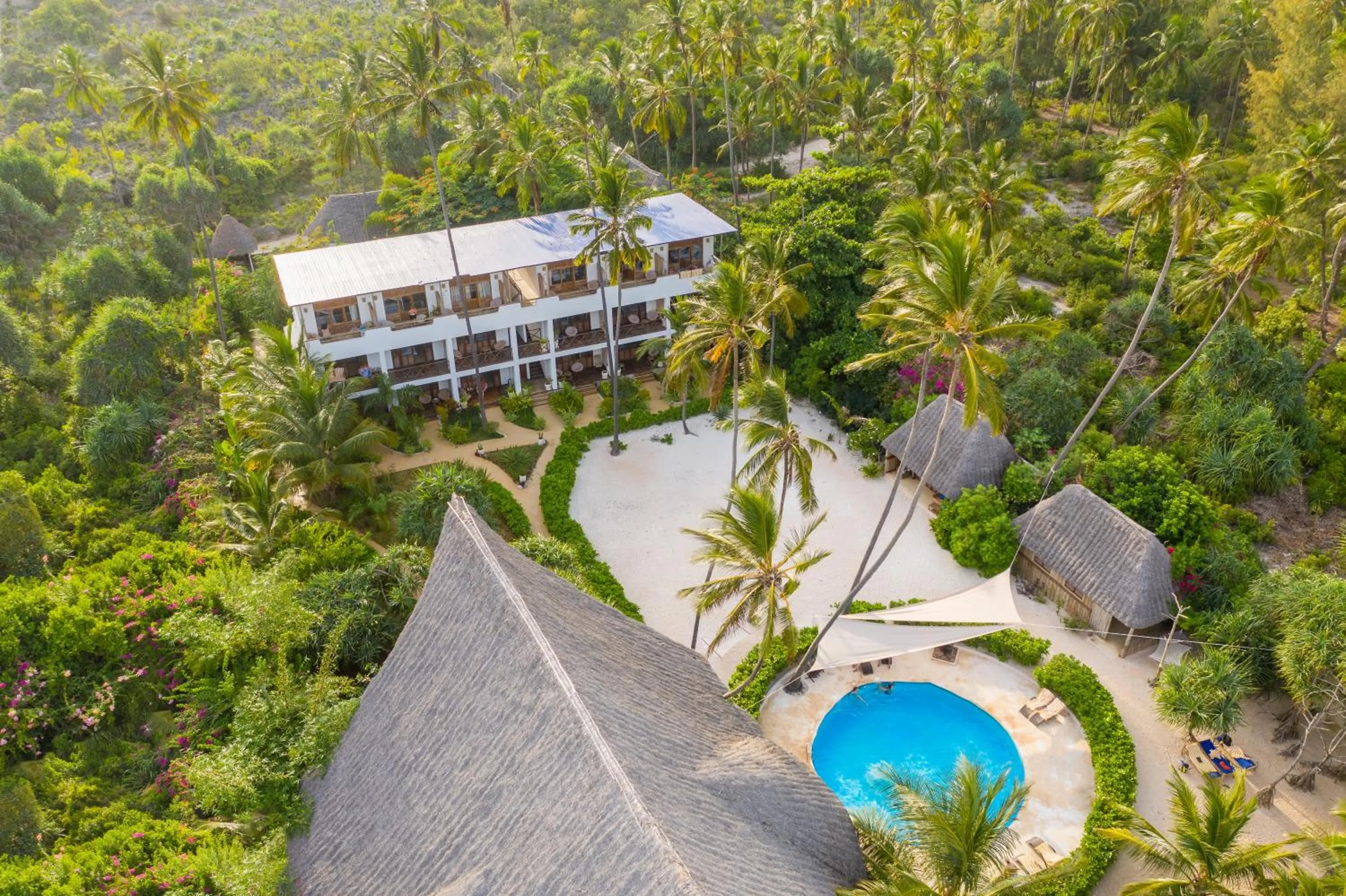Bird's eye view in Zanzibar Magic Boutique Hotel