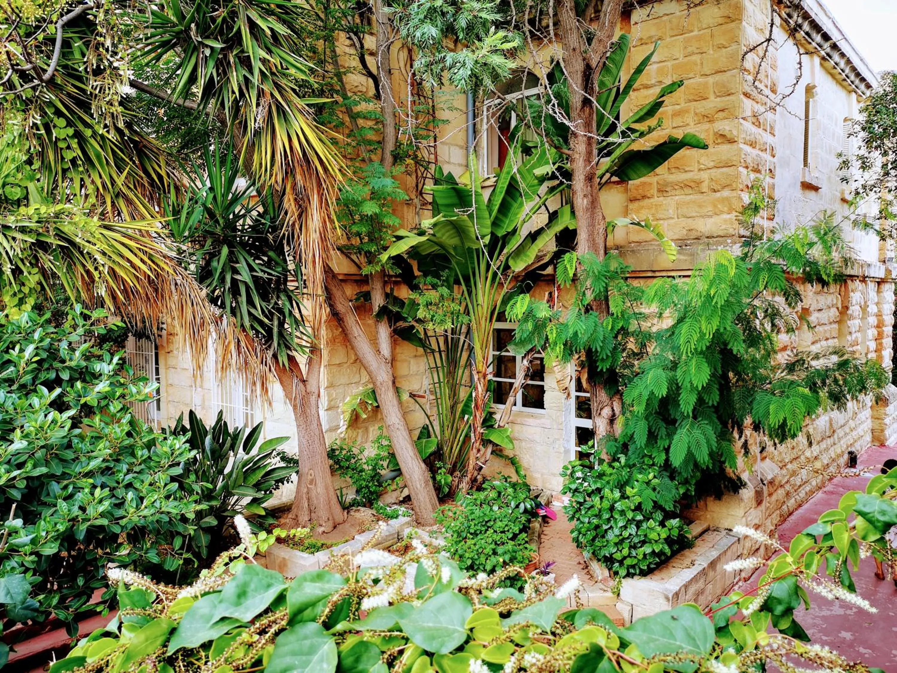 Garden in SC Club Village