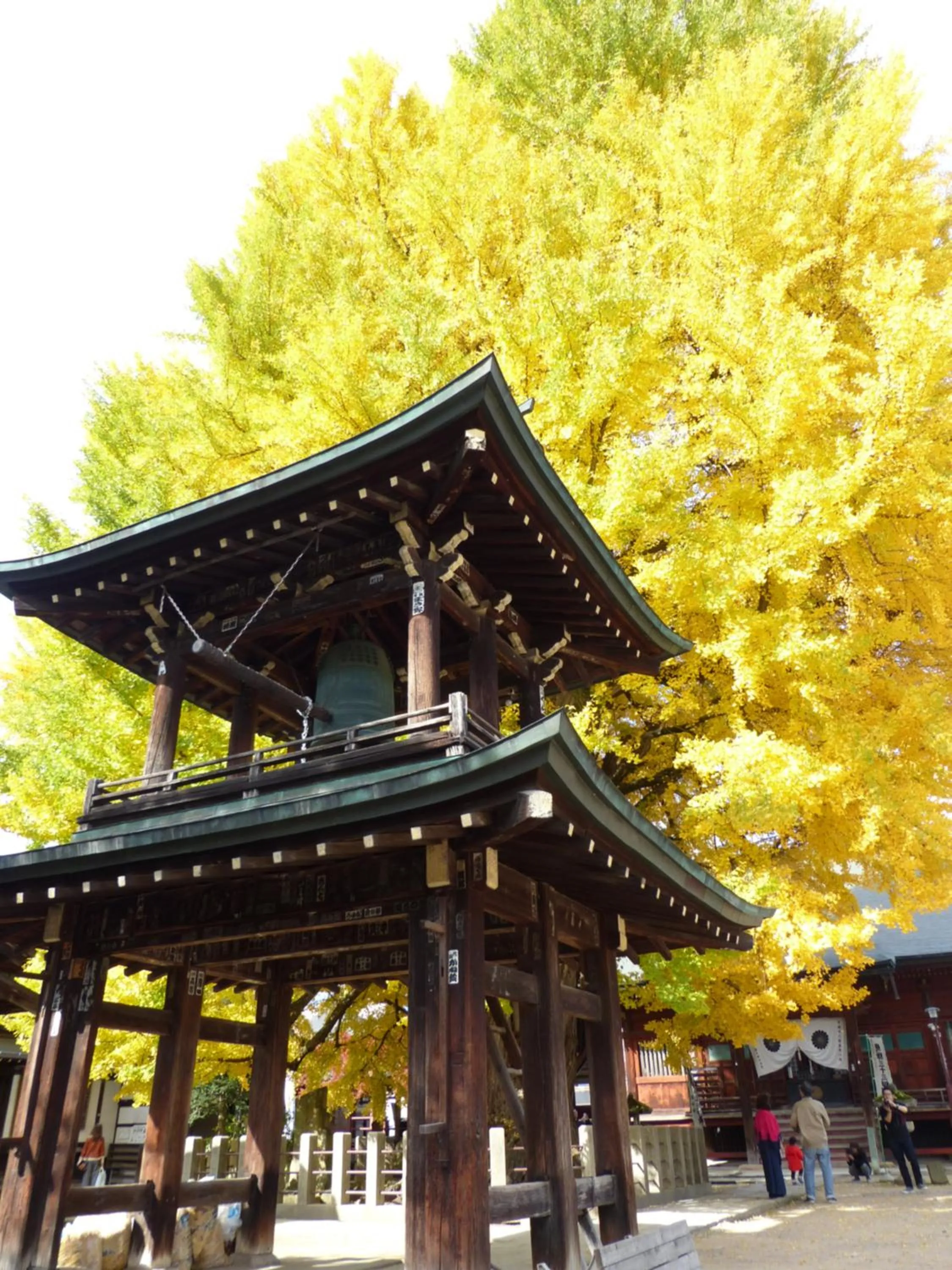Nearby landmark in Minshuku Kuwataniya