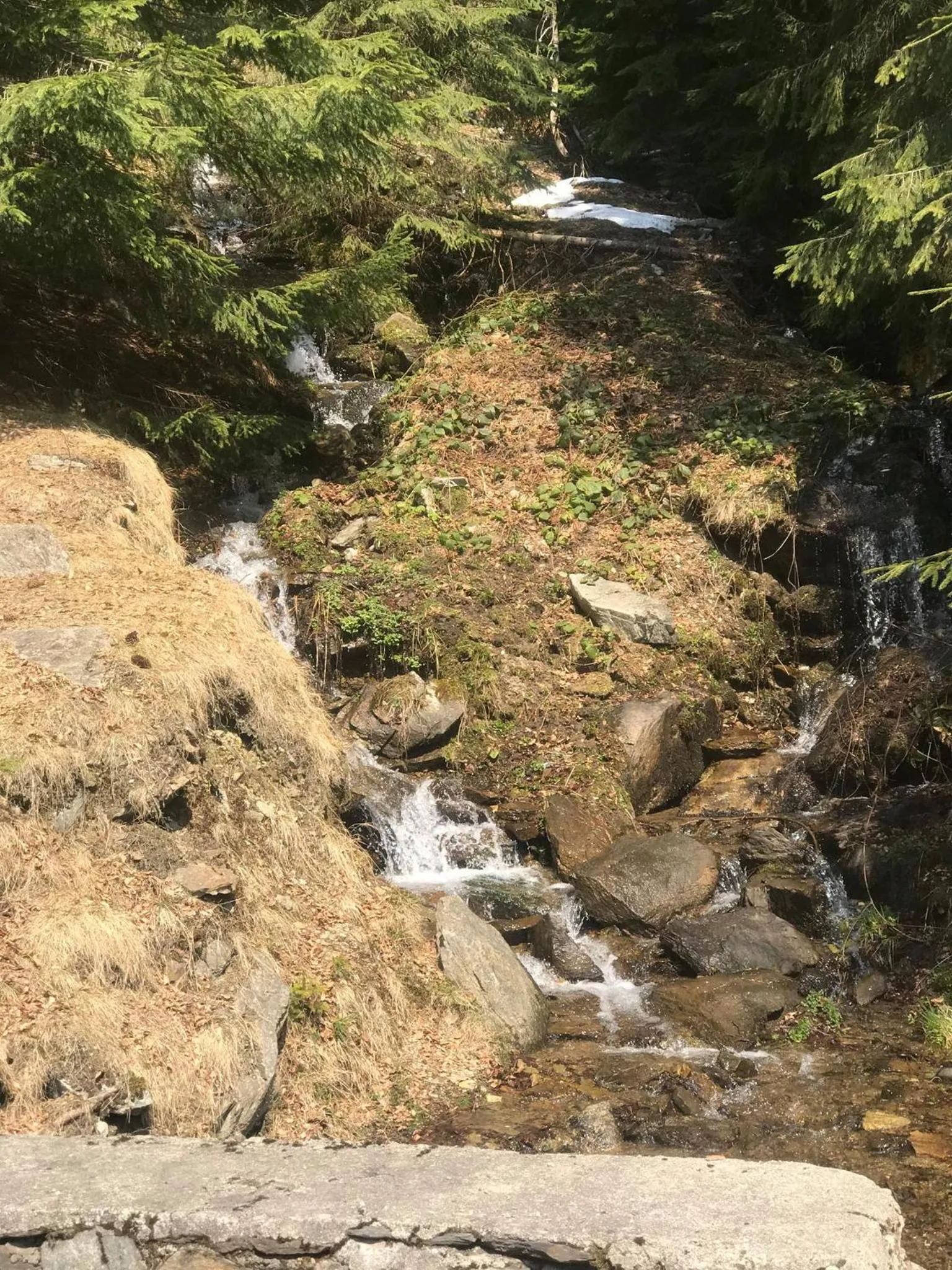 Natural landscape in Hotel Muntele Mic