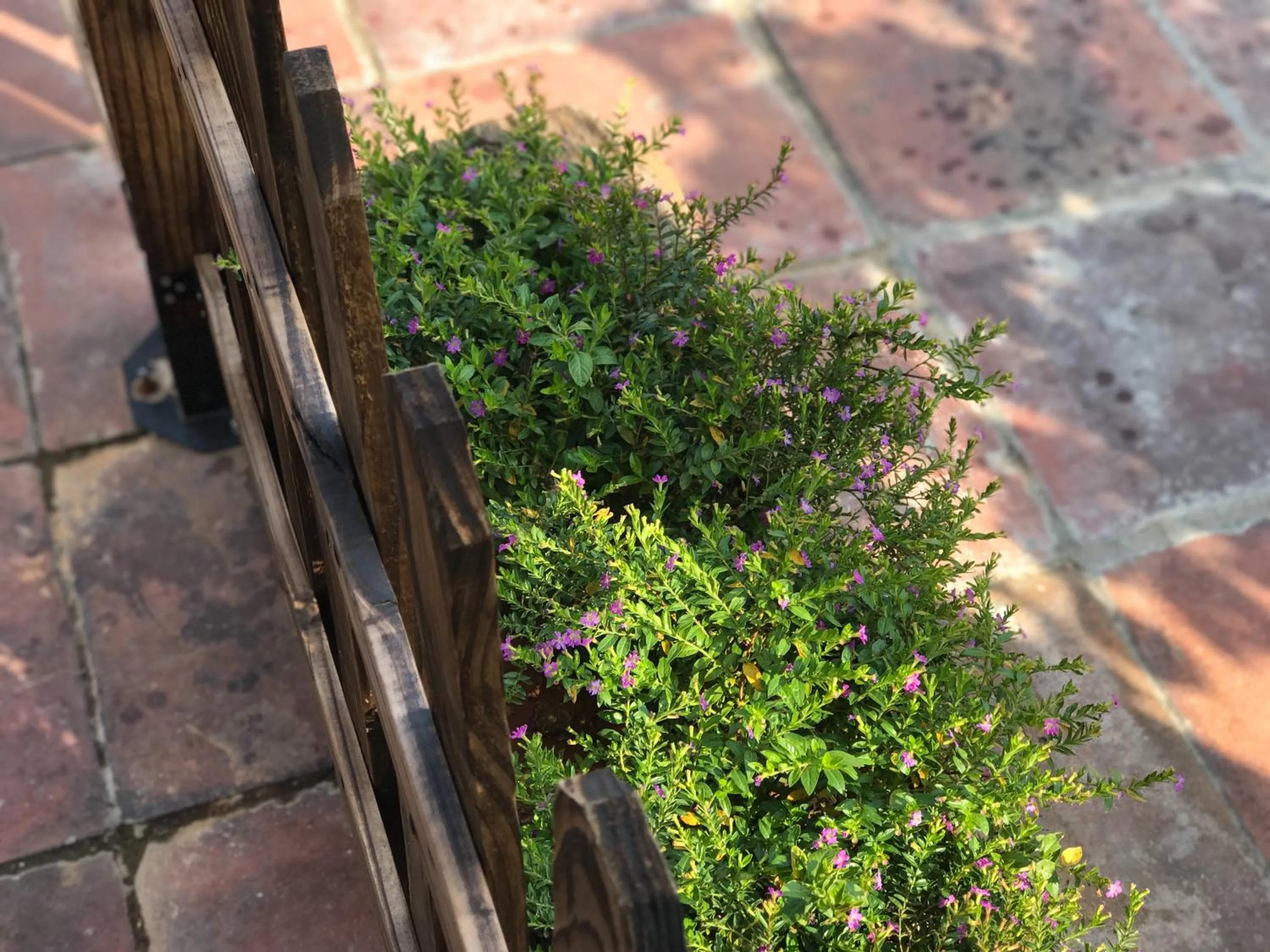 Balcony/Terrace in Mumian inn