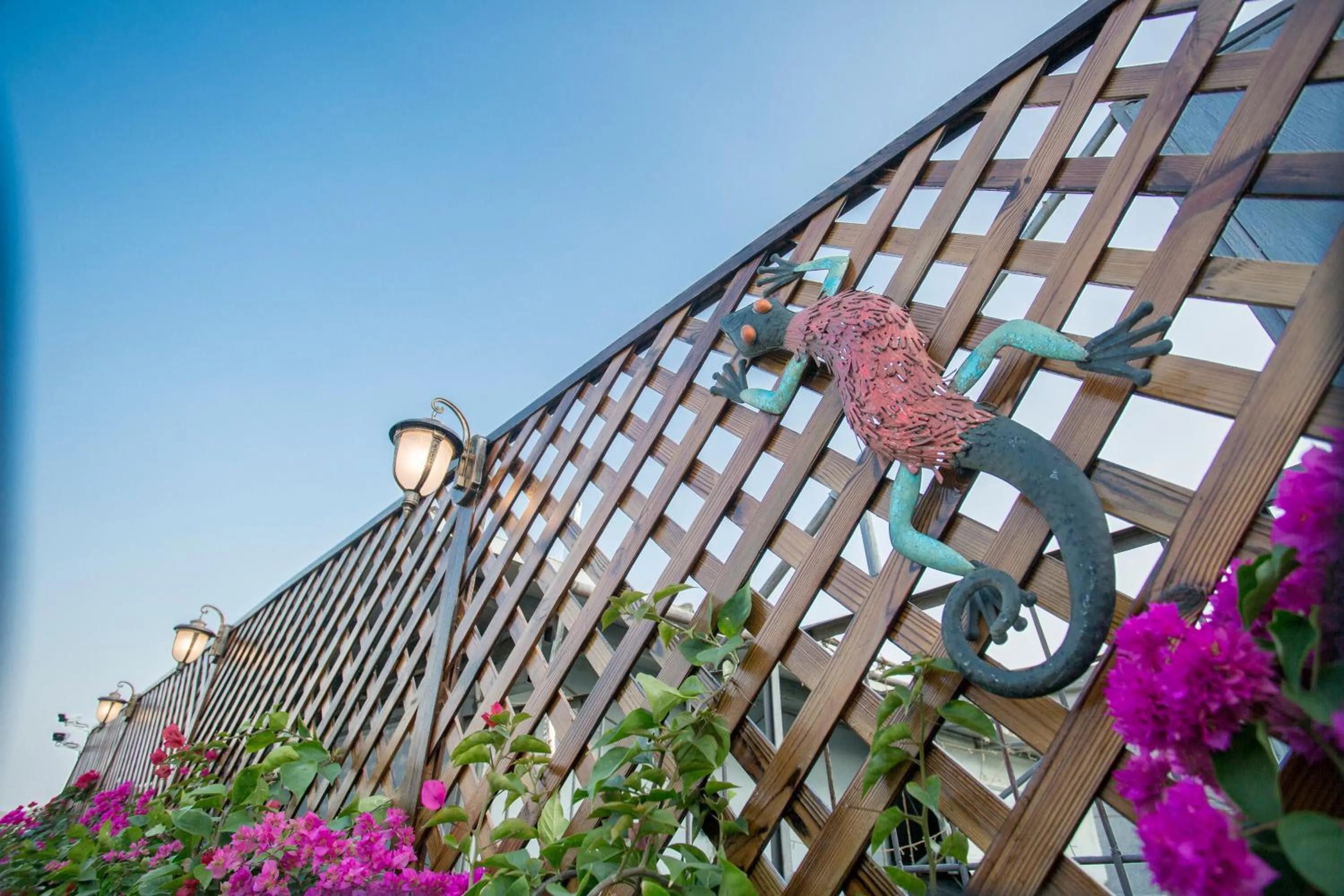 Balcony/Terrace in Mumian inn