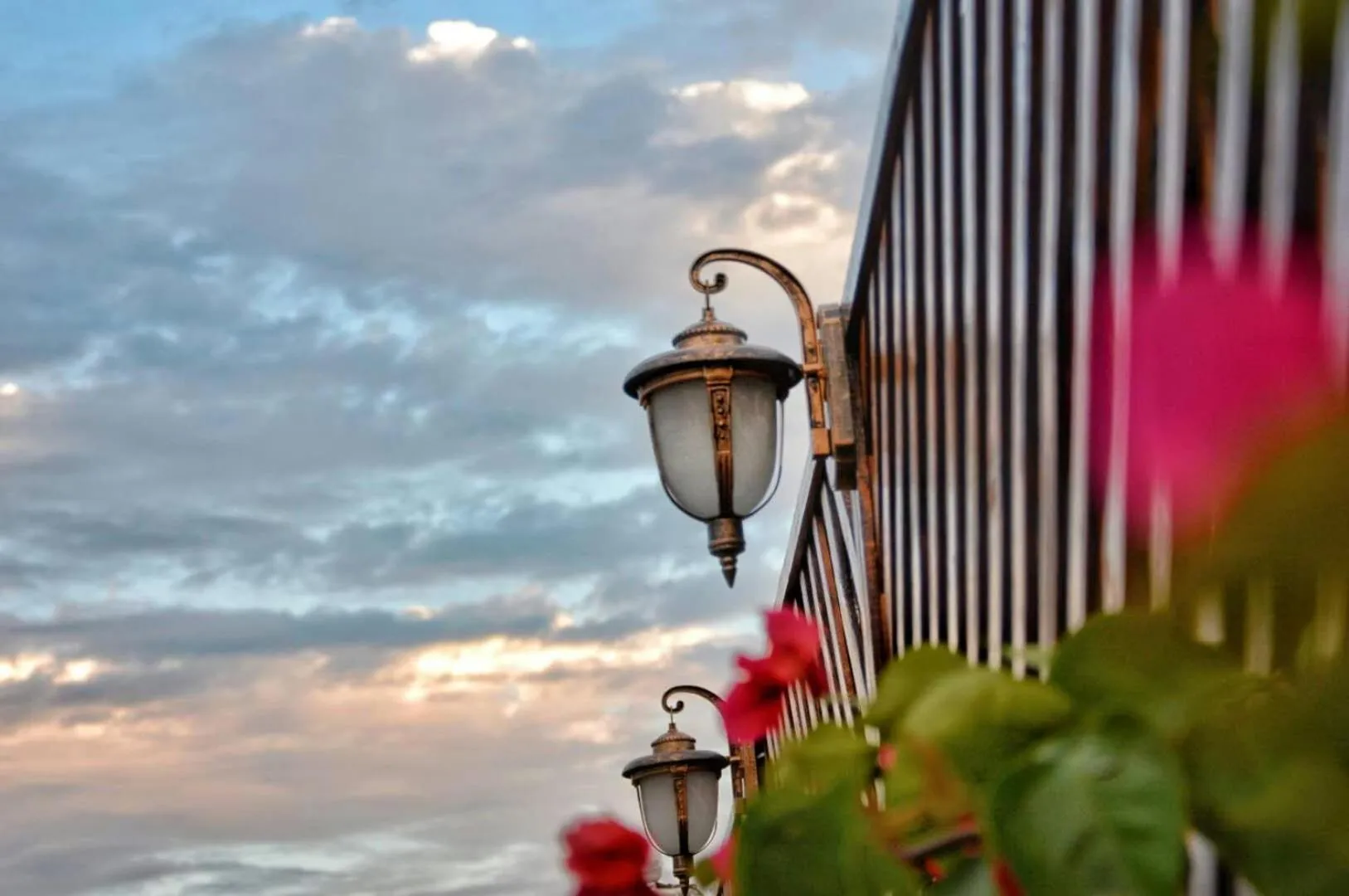 Garden in Mumian inn