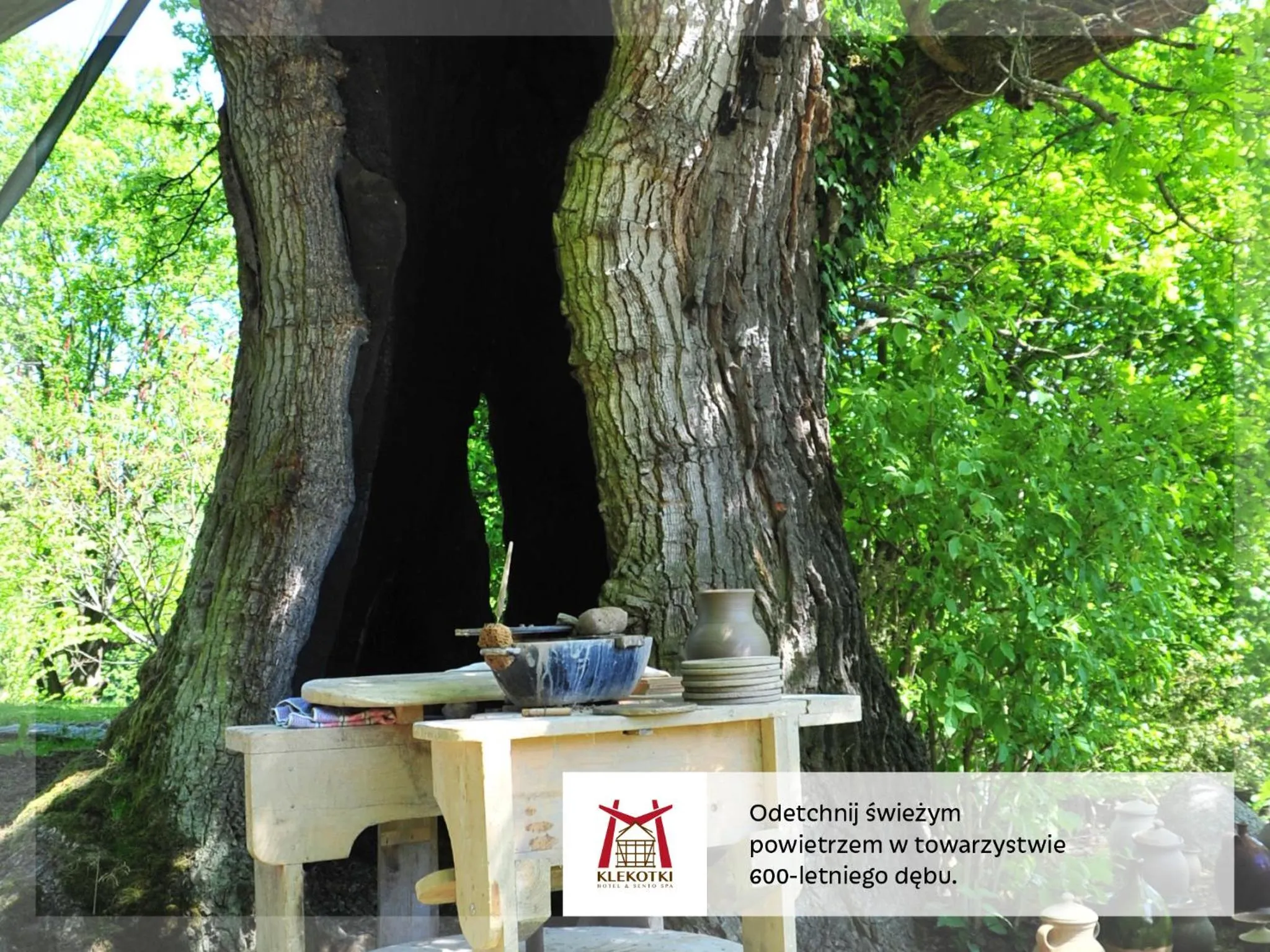 Off site in Młyn Klekotki Spa Resort