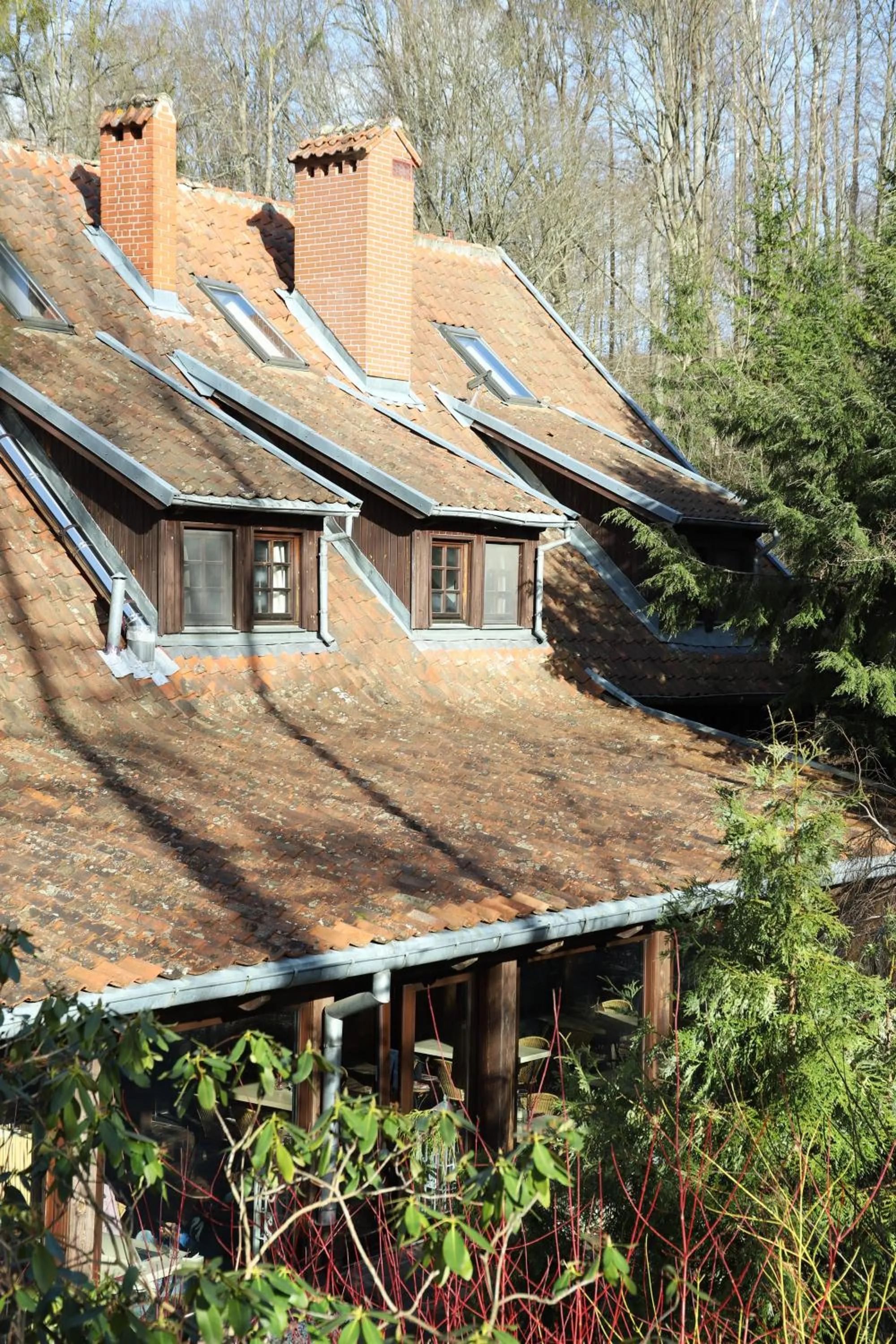 Młyn Klekotki Spa Resort