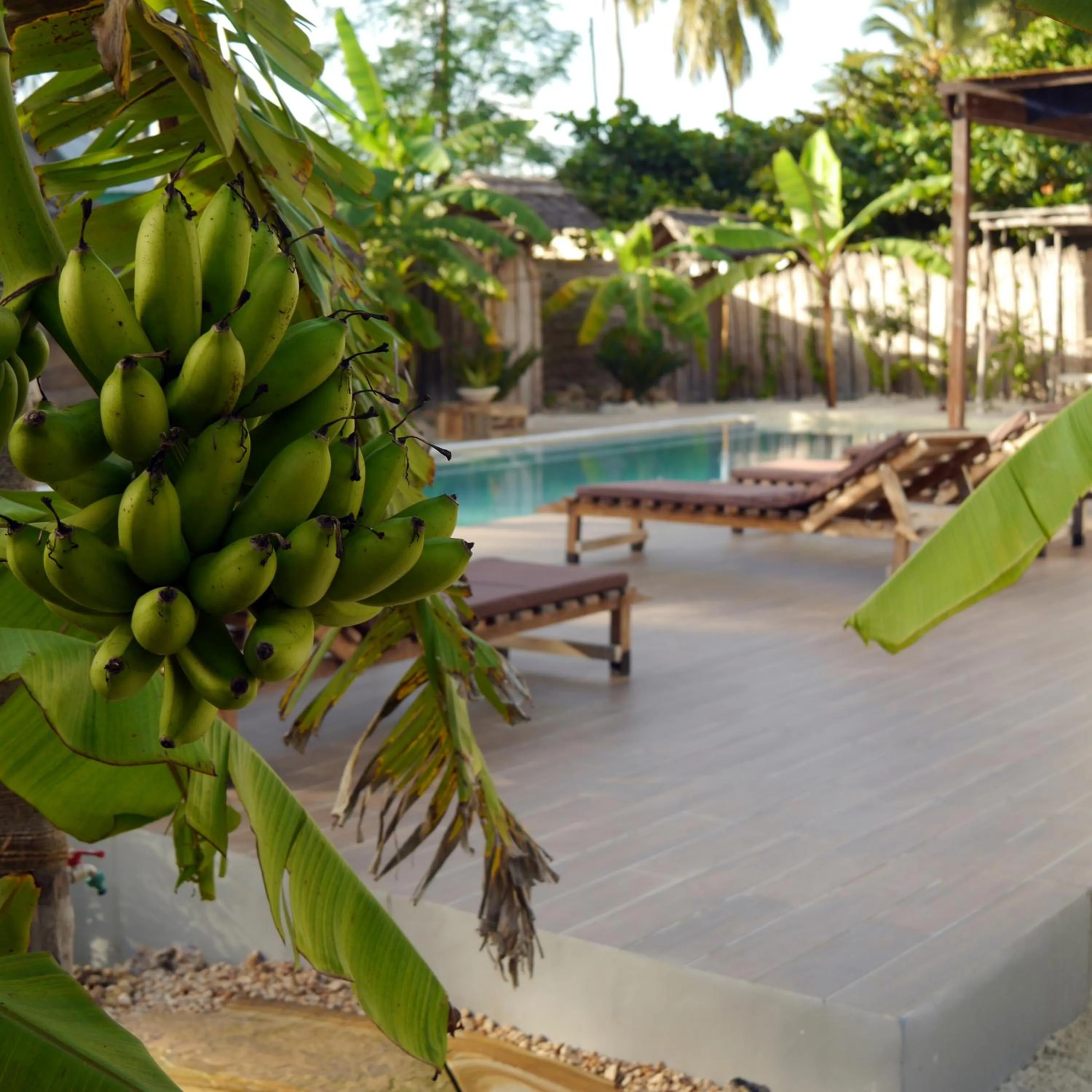 Garden in Villa Huruma