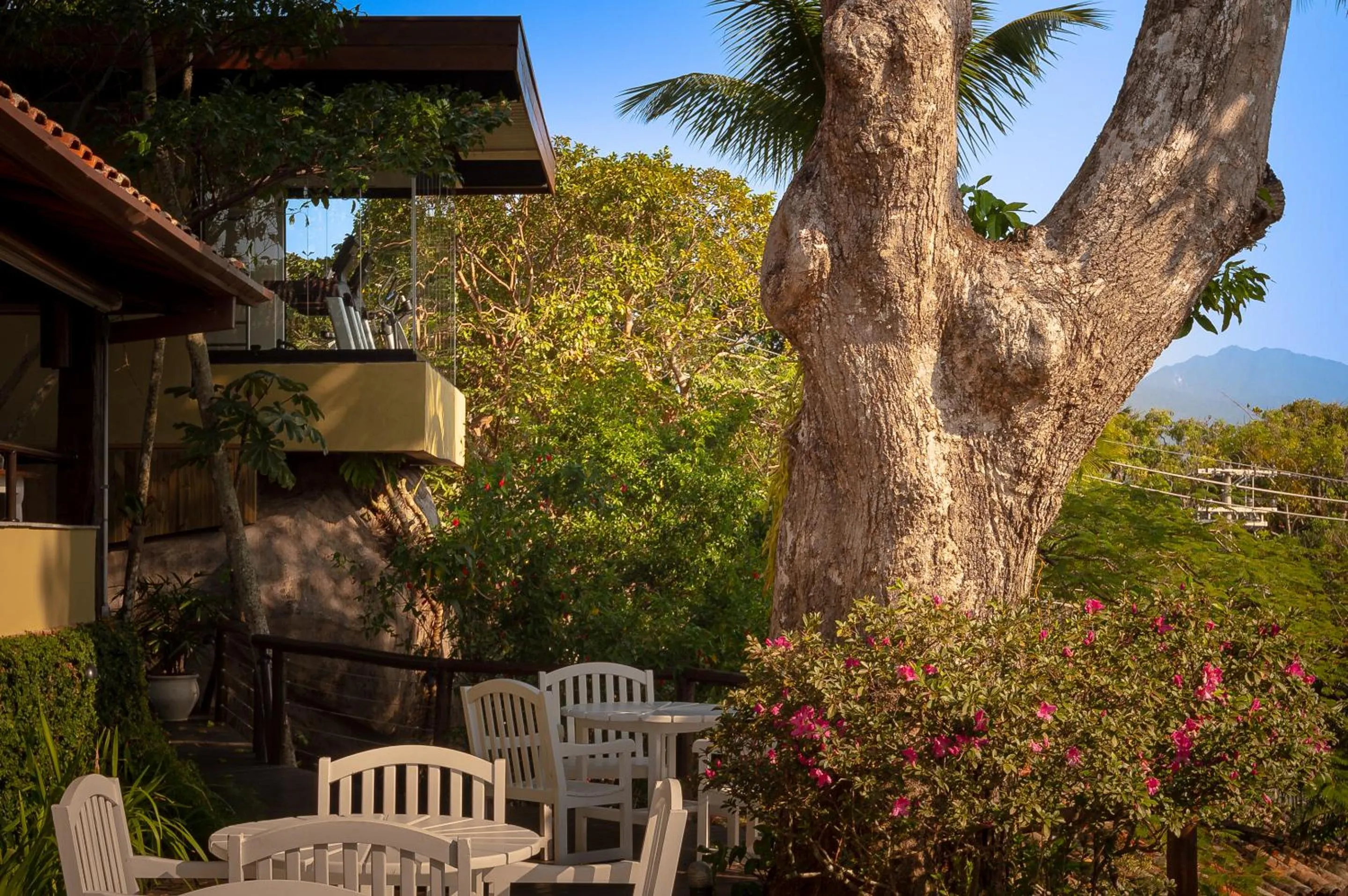 Garden in Porto Pacuíba Hotel