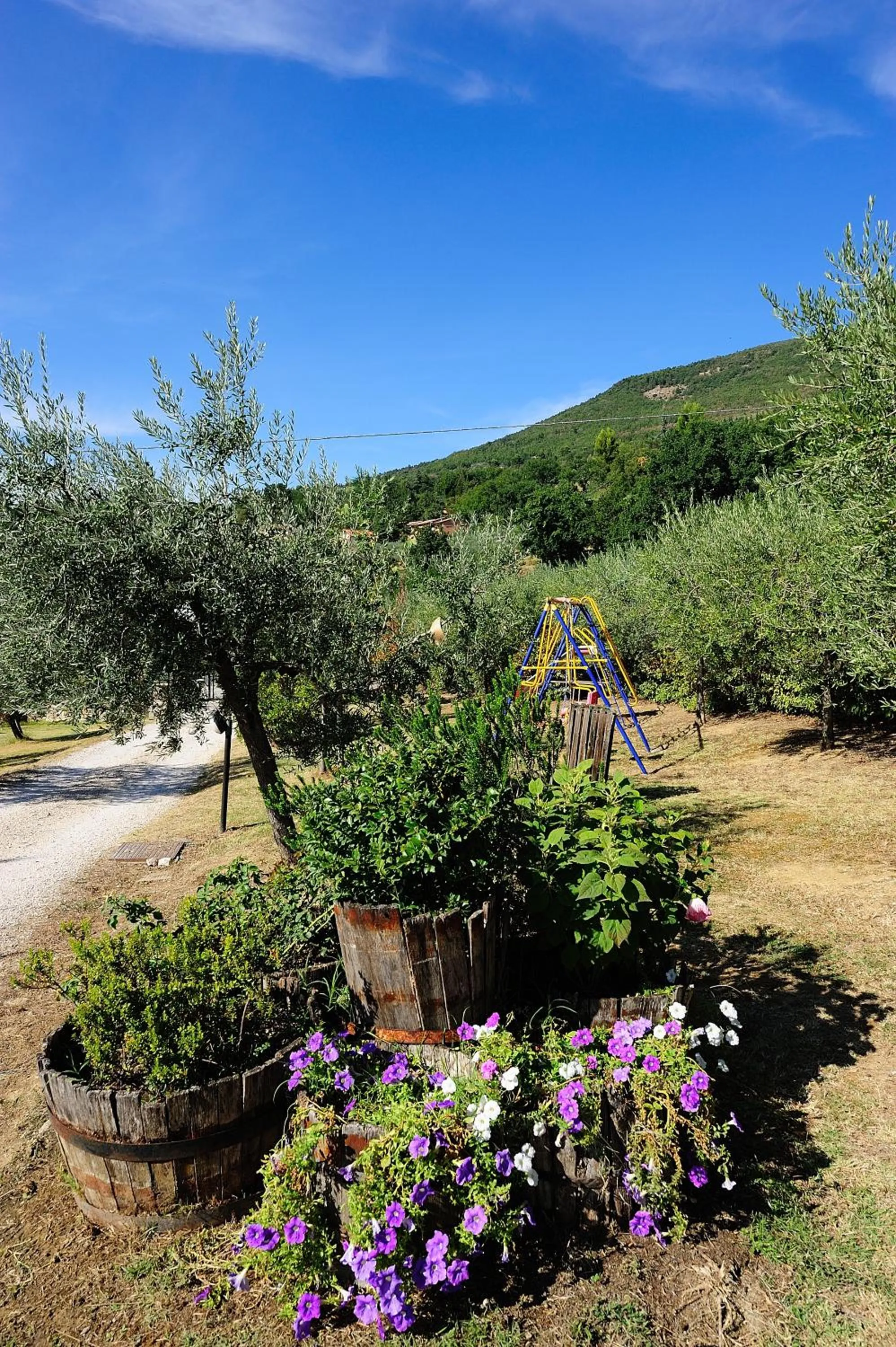 Garden in Colle Degli Olivi snc