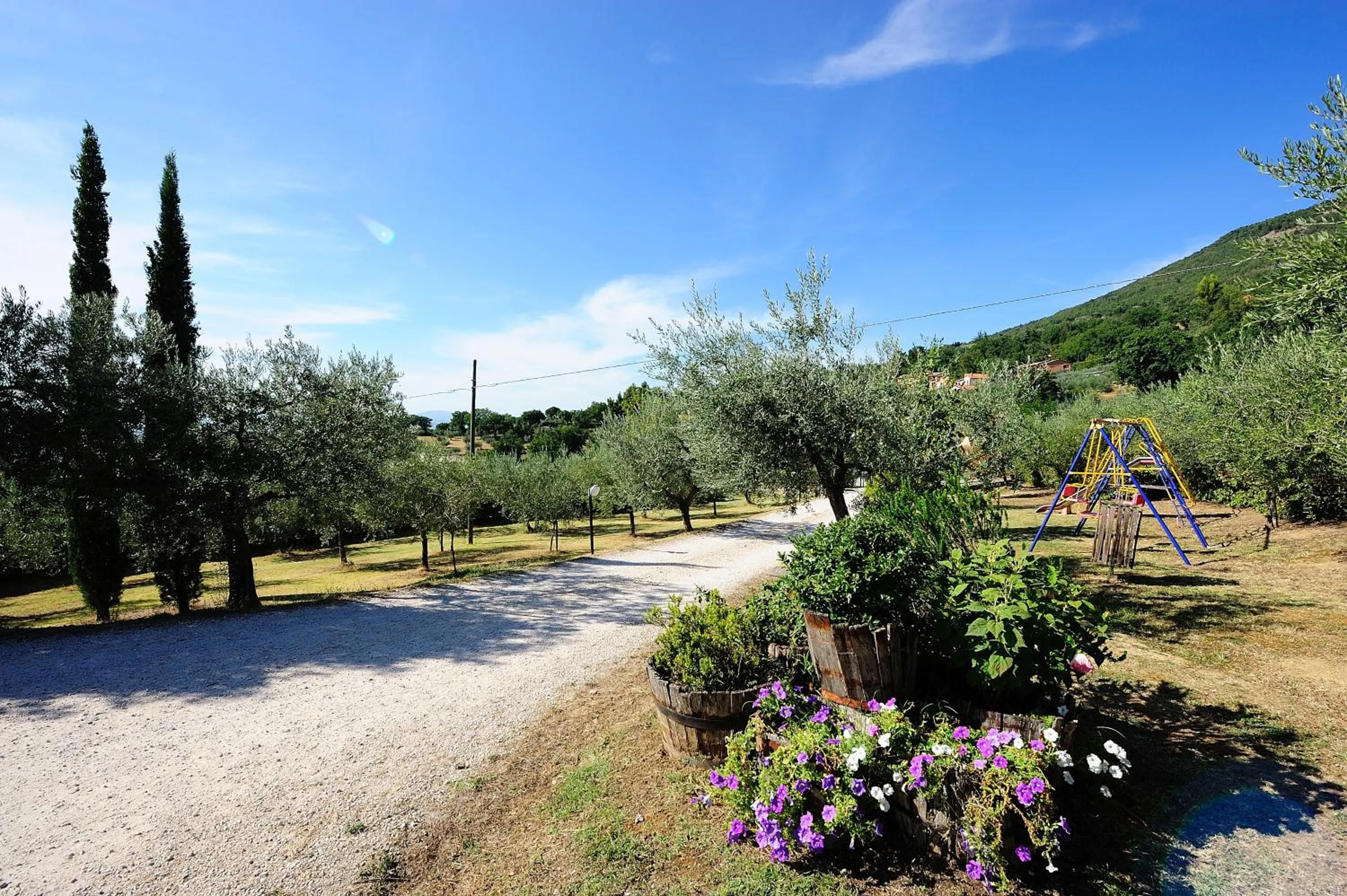 Garden in Colle Degli Olivi snc
