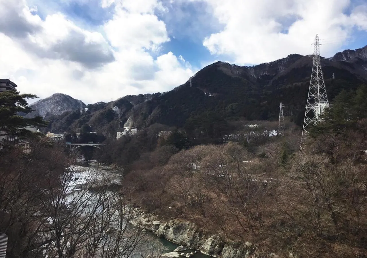 Mountain view in Itoen Hotel New Sakura