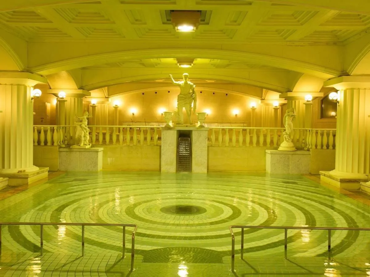 Hot Spring Bath in Hotel Oonoya