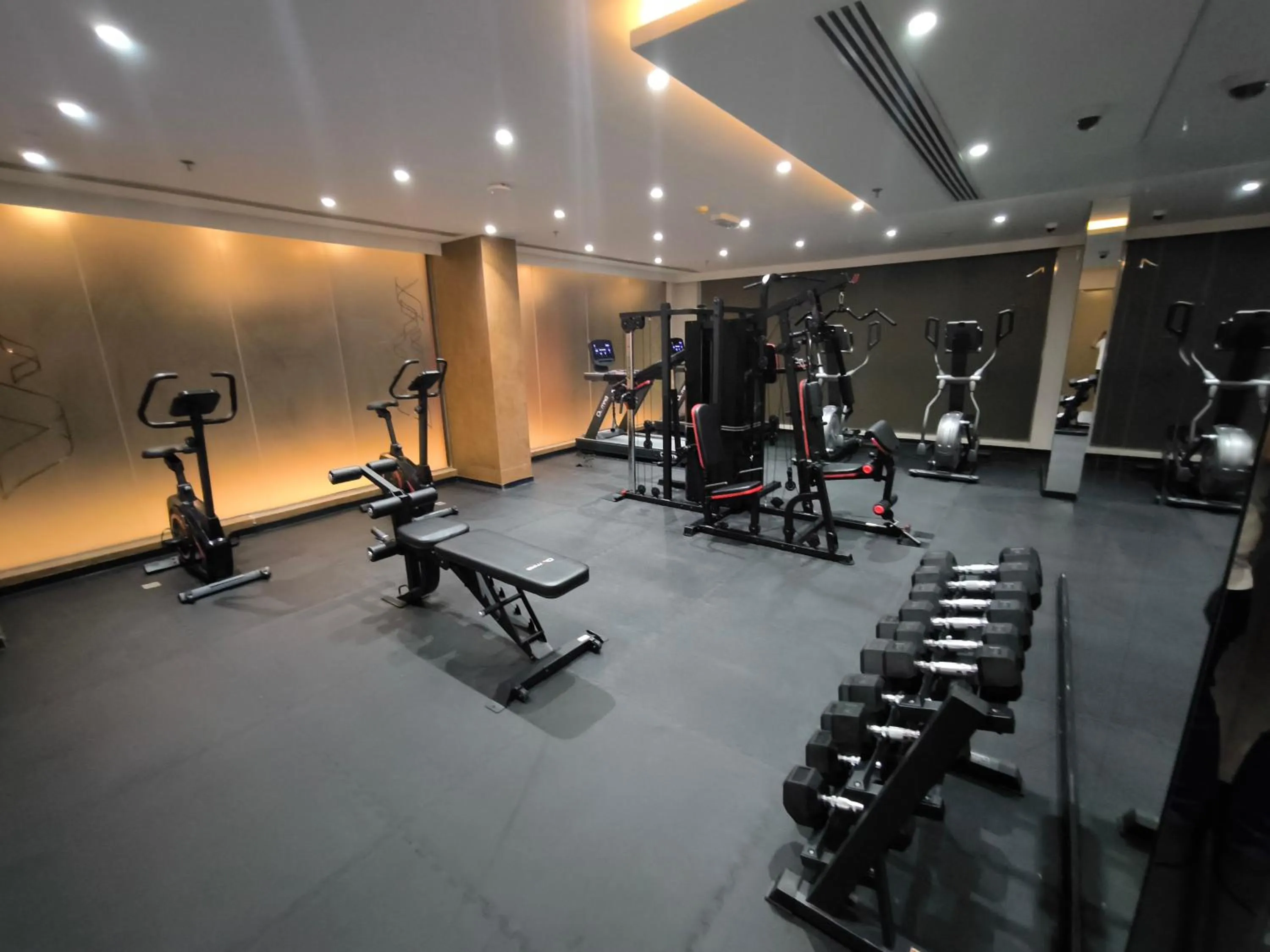 Fitness centre/facilities in Carnelian Muscat - Airport Hotel