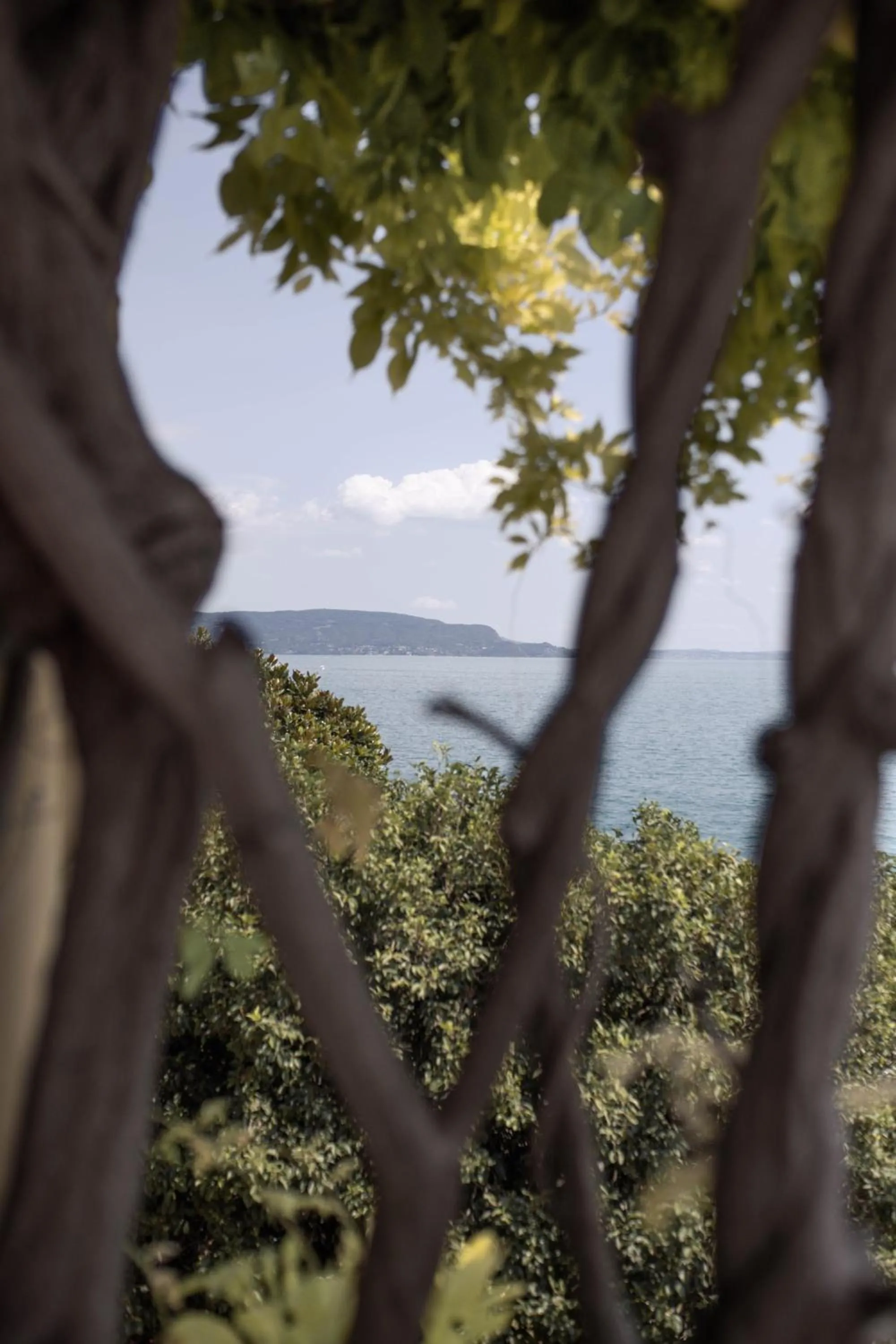 Natural landscape in Grand Hotel Fasano