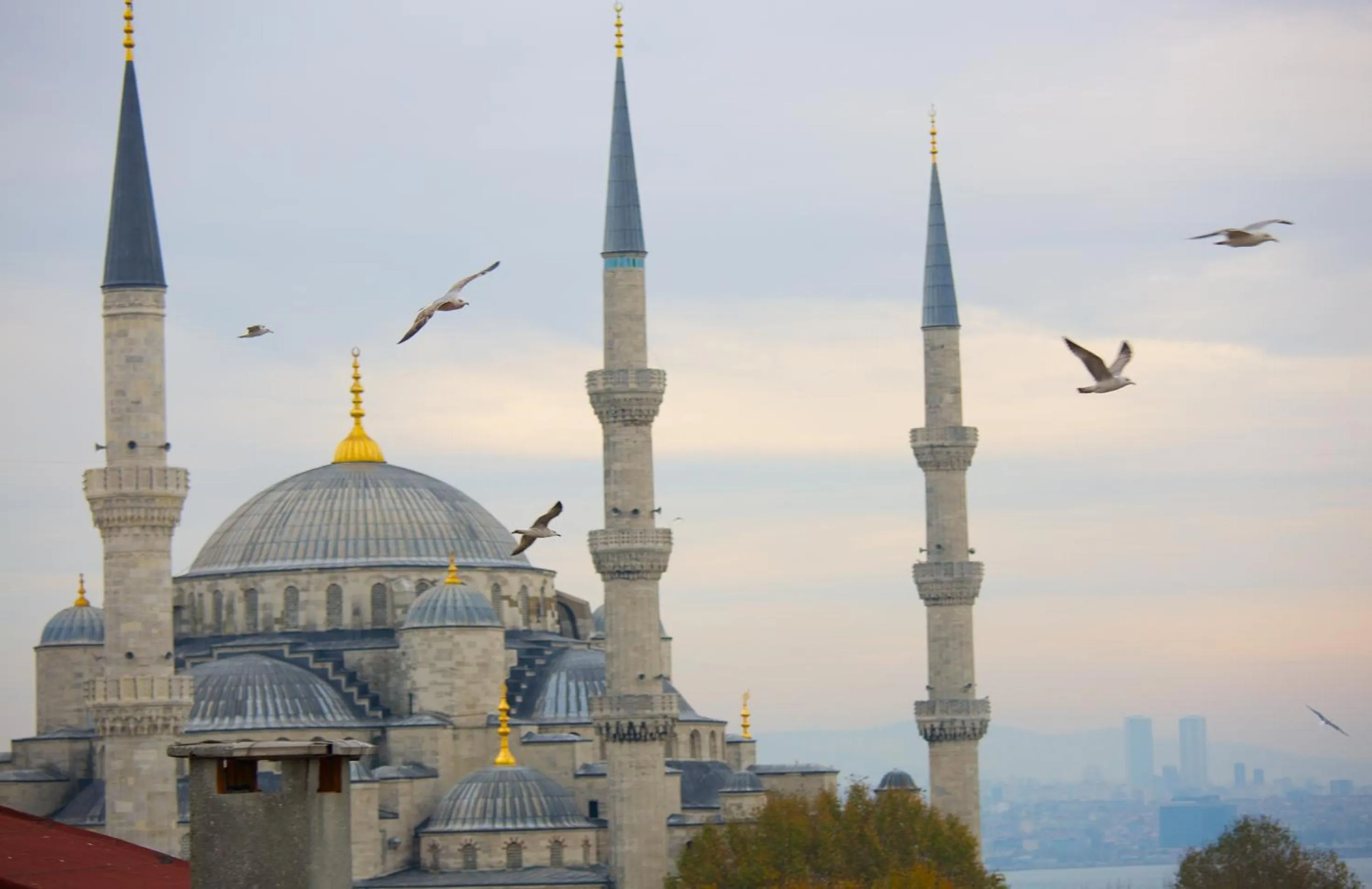 Landmark view in Hotel Perula & SPA