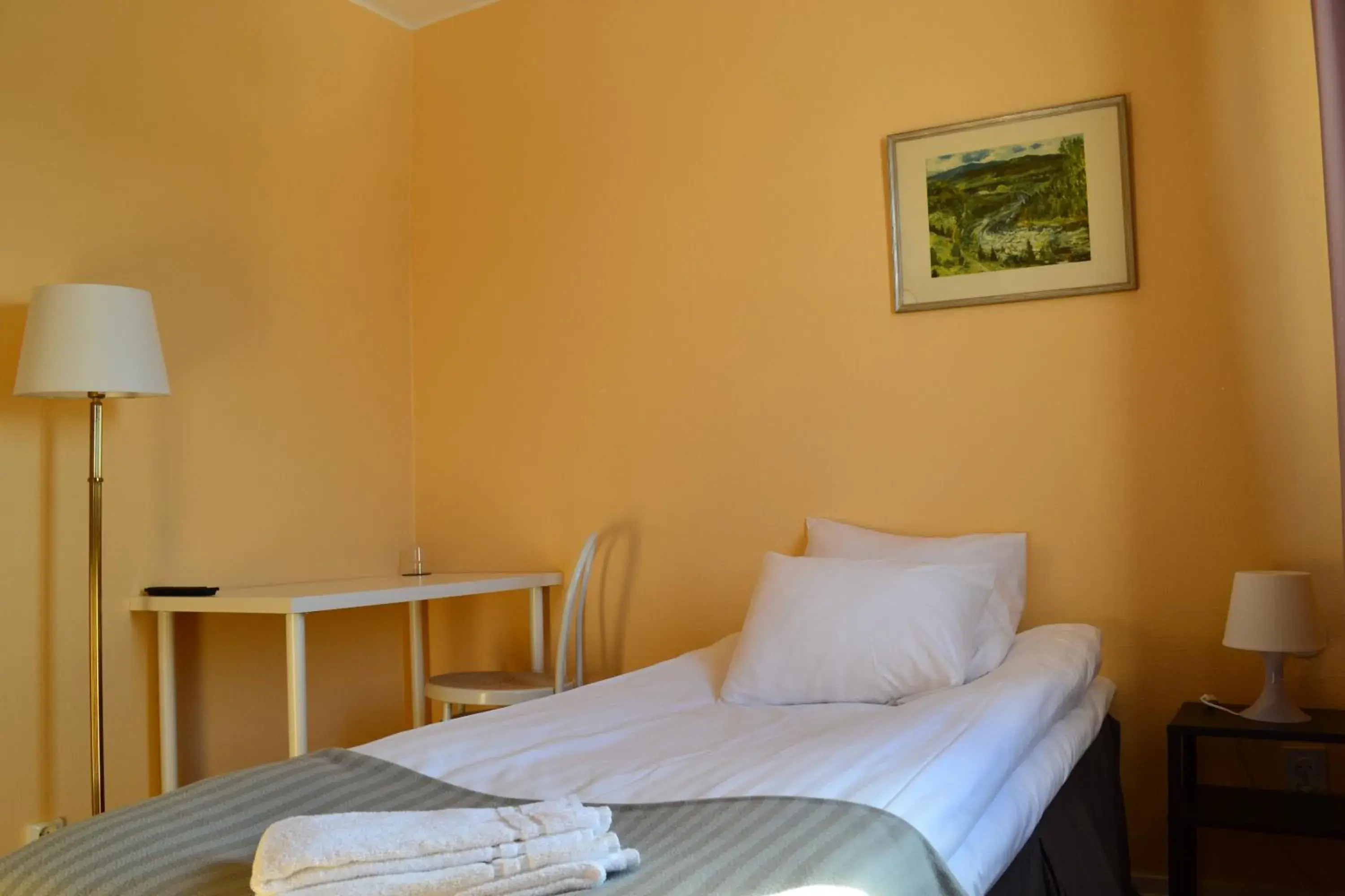 Single Room in Hotell Skinnargården Single Room in Hotell Skinnargården