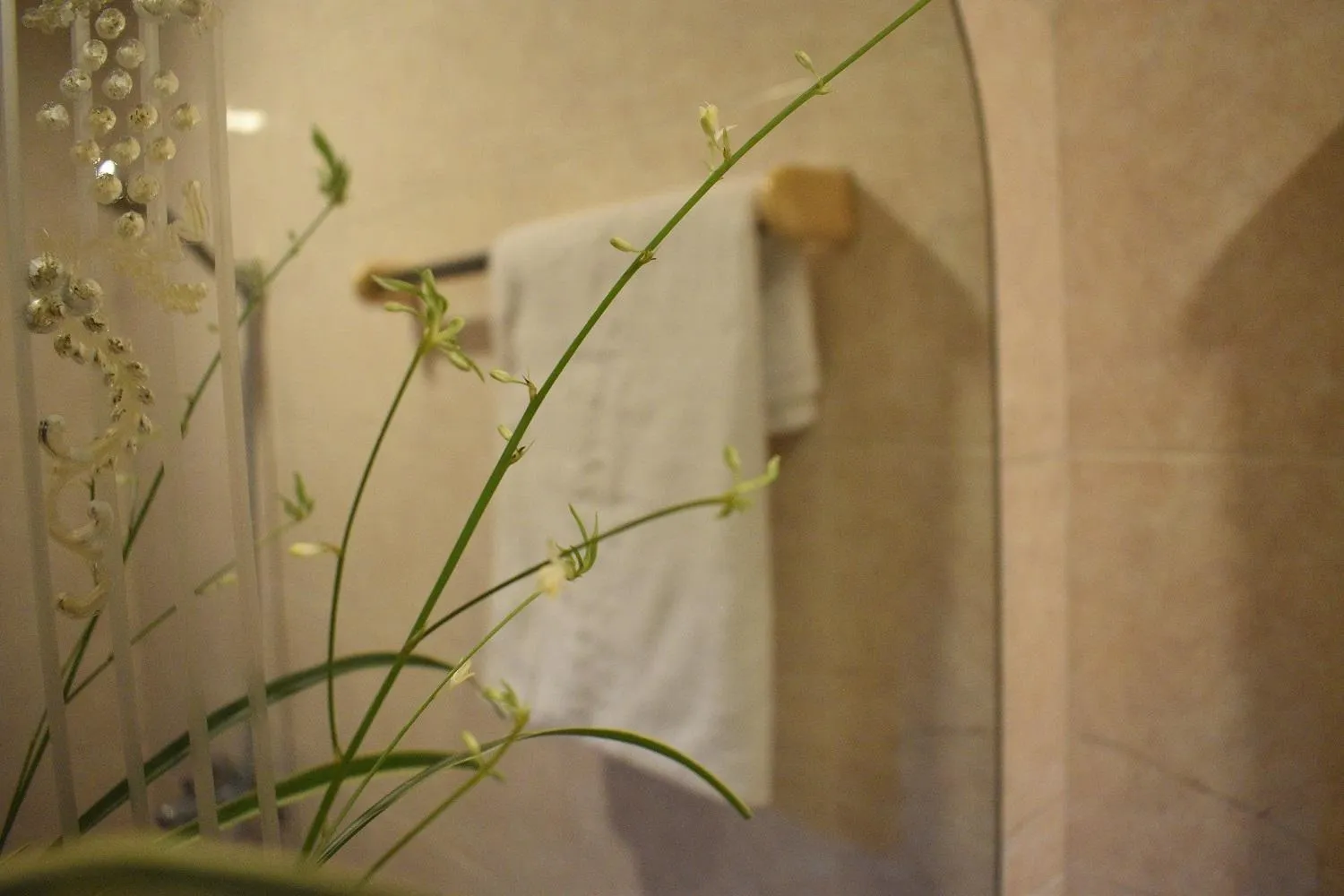 Shower in Phuong Trang Hotel