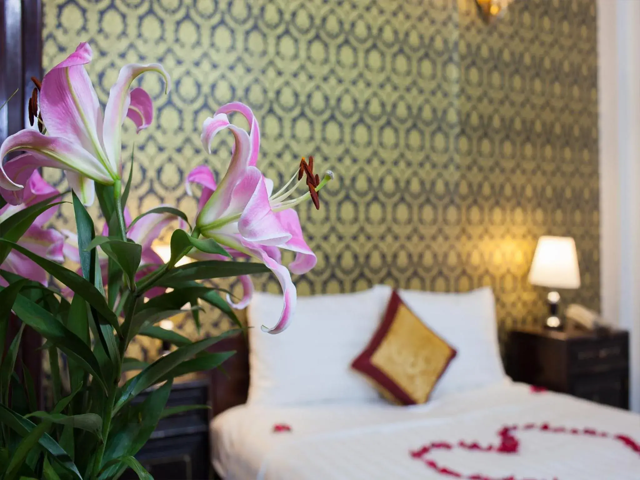 Junior Suite in Phuong Trang Hotel Junior Suite in Phuong Trang Hotel