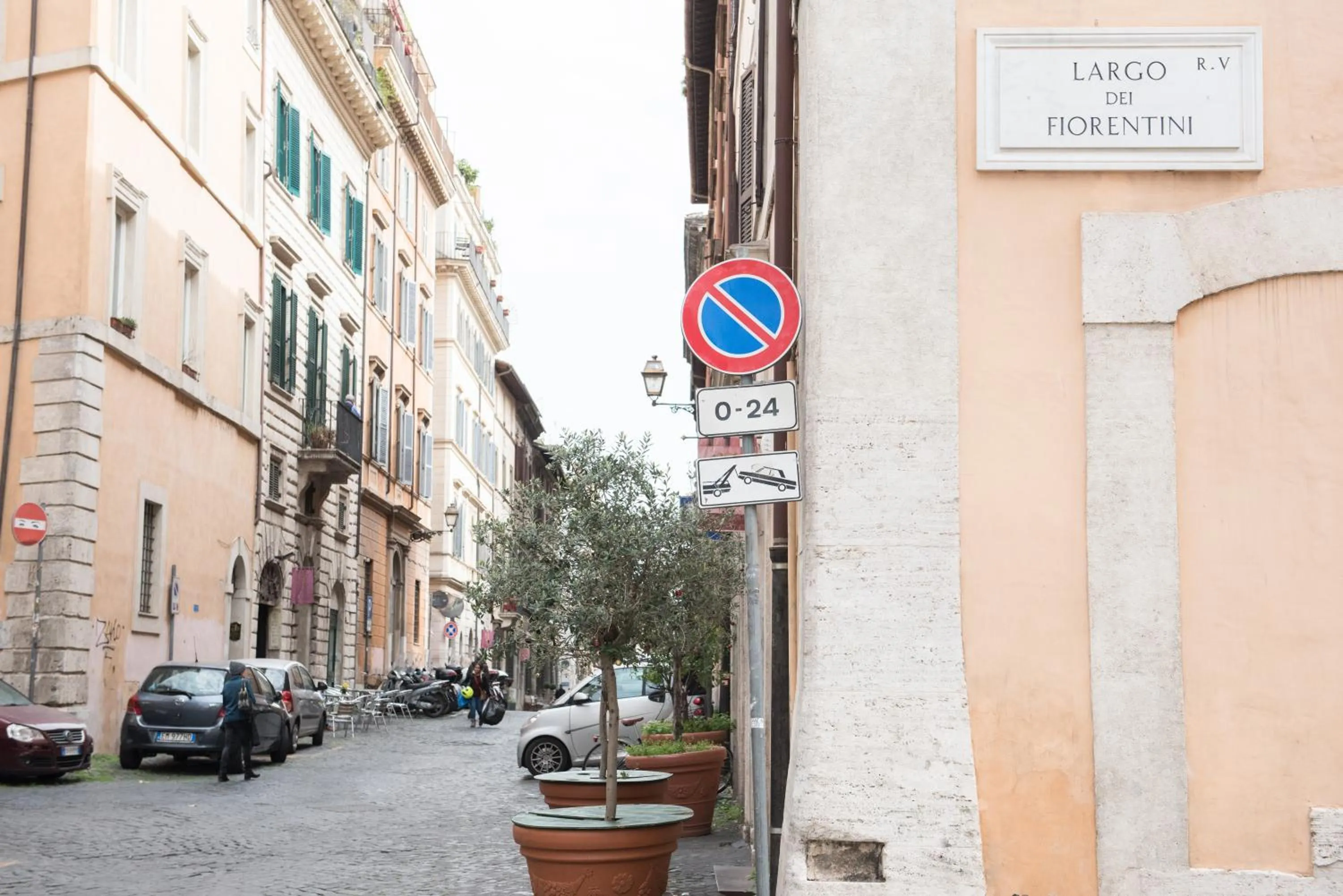 Area and facilities in Domus Giulia