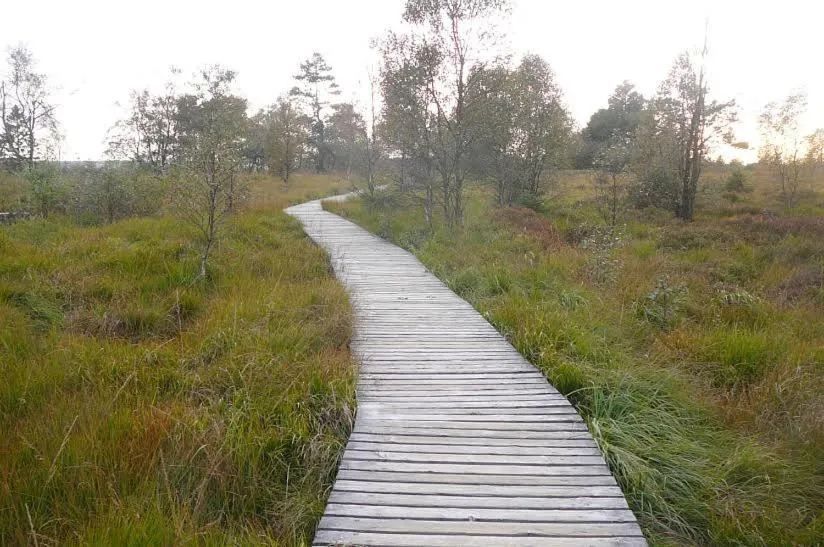 Day in Le Bernister parking privé