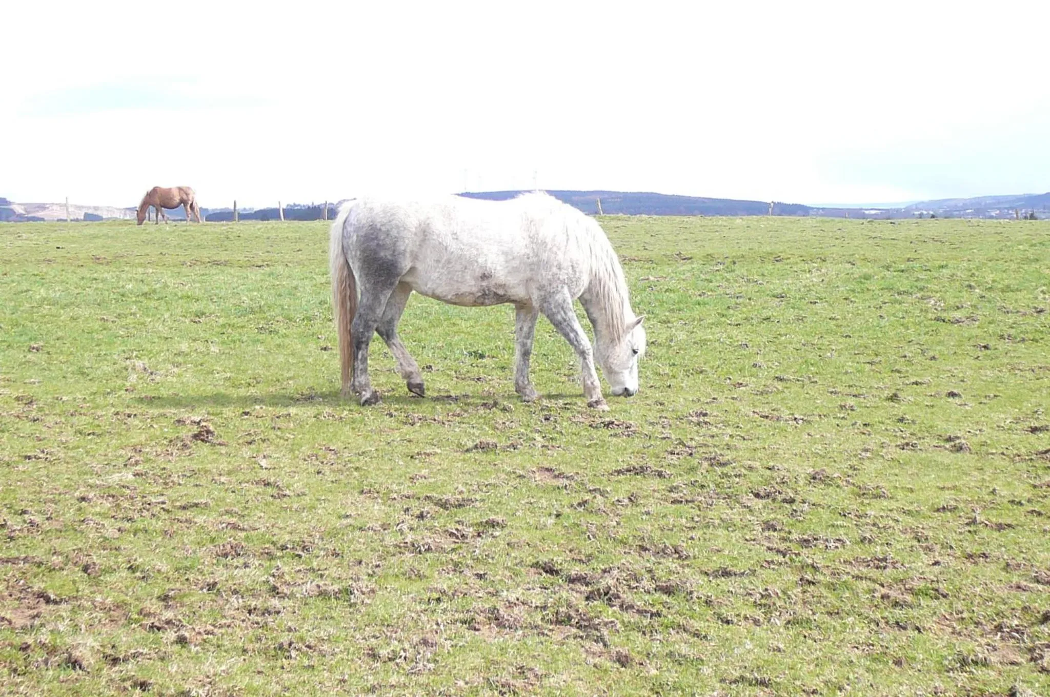 Day in Le Bernister parking privé