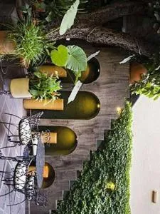 Casalinda San Miguel