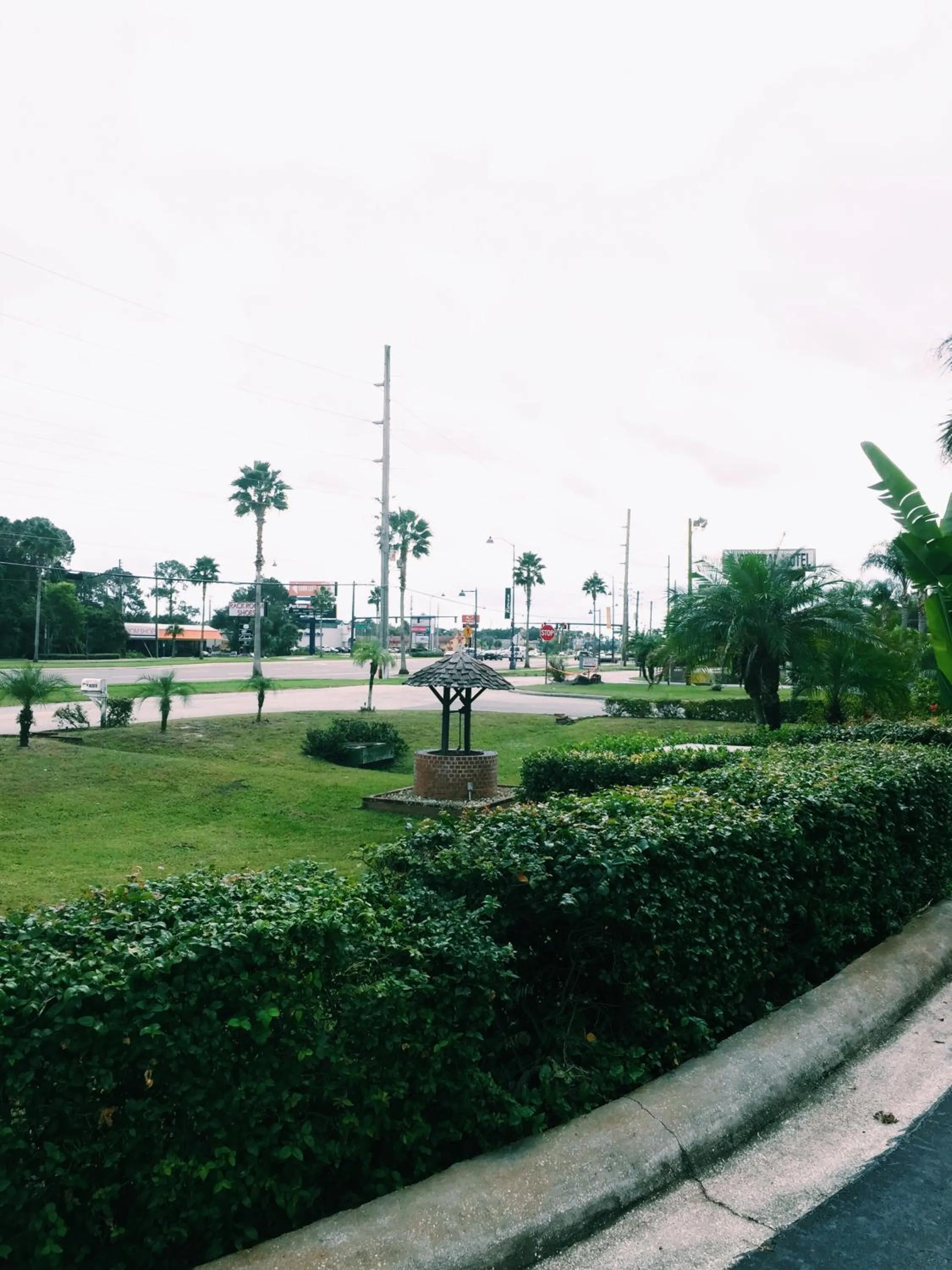 Natural landscape in The keys