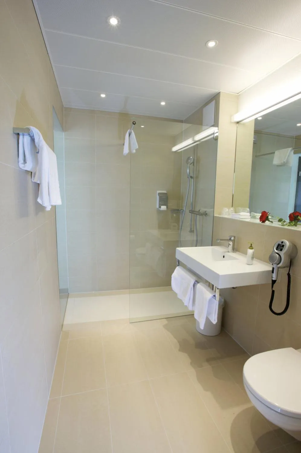 Bathroom in Frohsinn