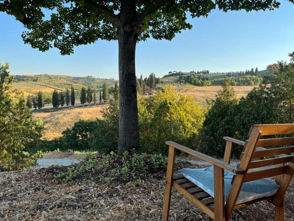 Gatto Bianco Tizzauli