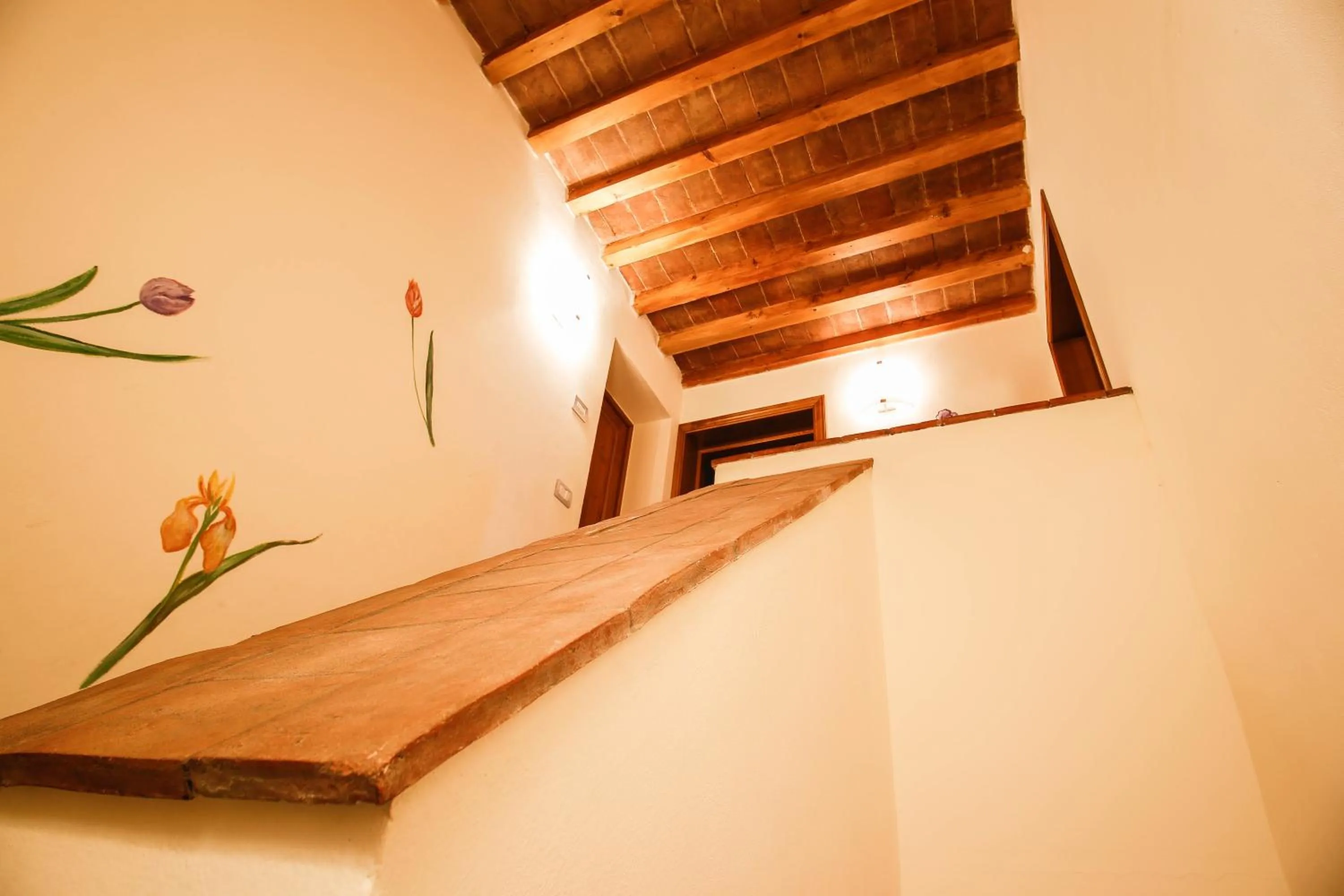 Other in Gatto Bianco Tizzauli