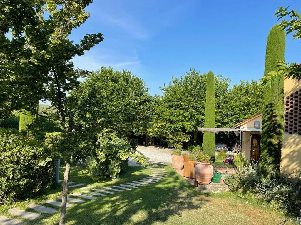 Gatto Bianco Tizzauli