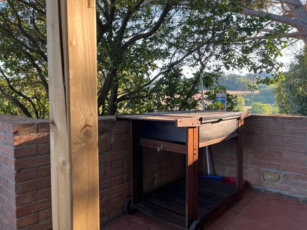 Gatto Bianco Tizzauli