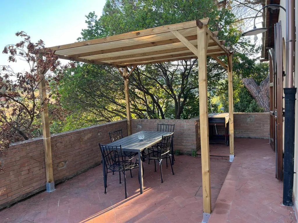 Gatto Bianco Tizzauli