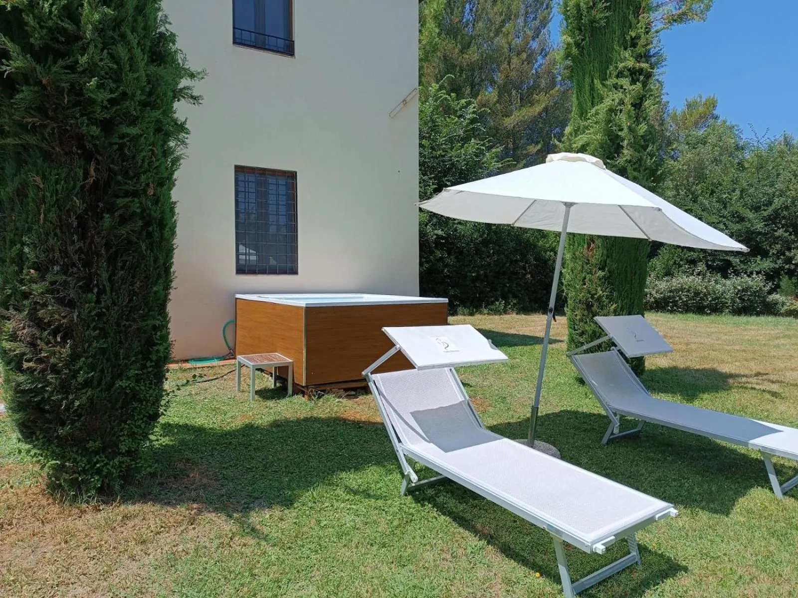 Gatto Bianco Tizzauli