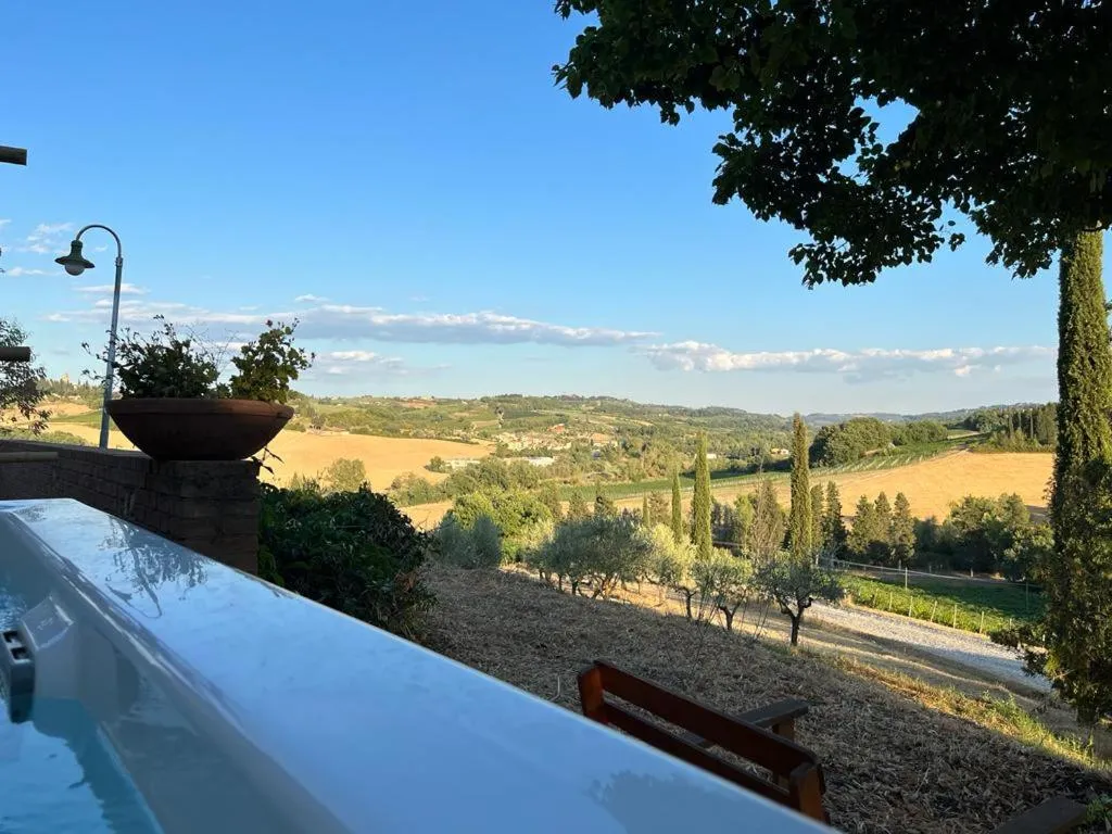 Gatto Bianco Tizzauli