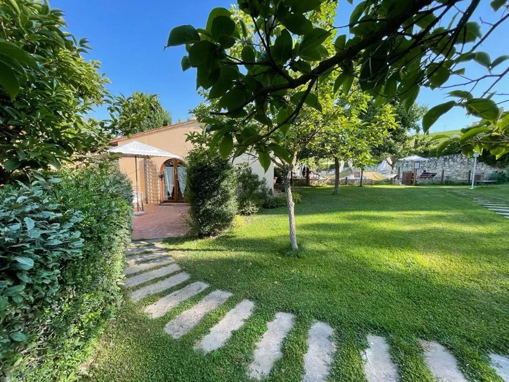 Gatto Bianco Tizzauli