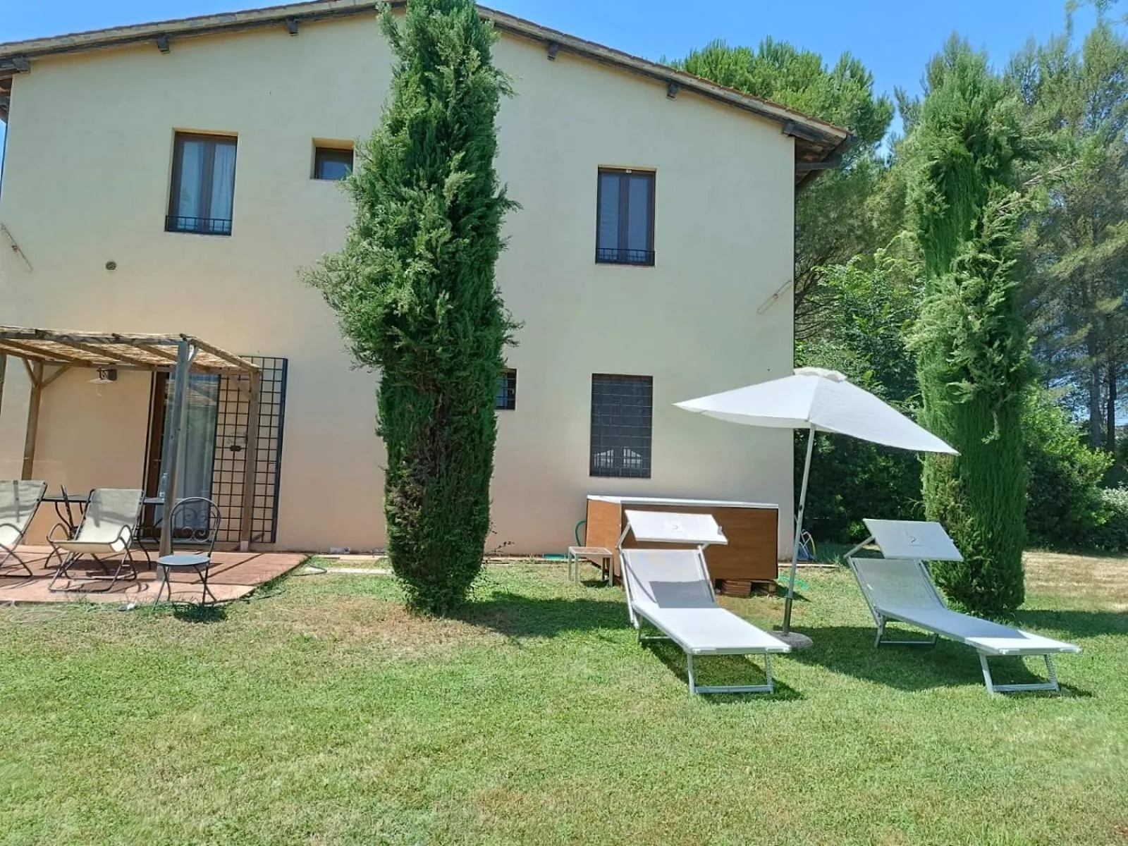 Gatto Bianco Tizzauli