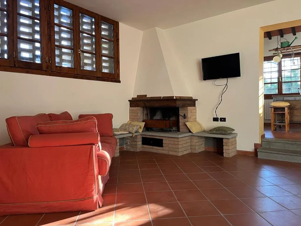 Gatto Bianco Tizzauli