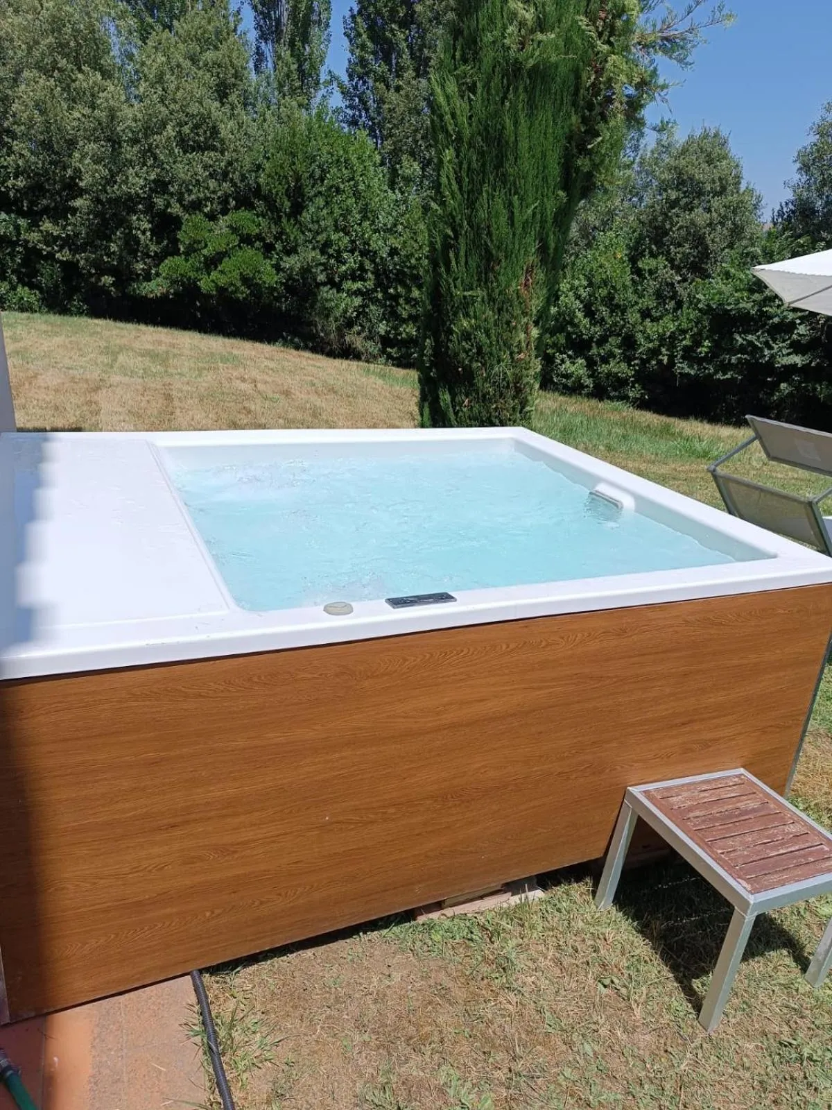 Gatto Bianco Tizzauli