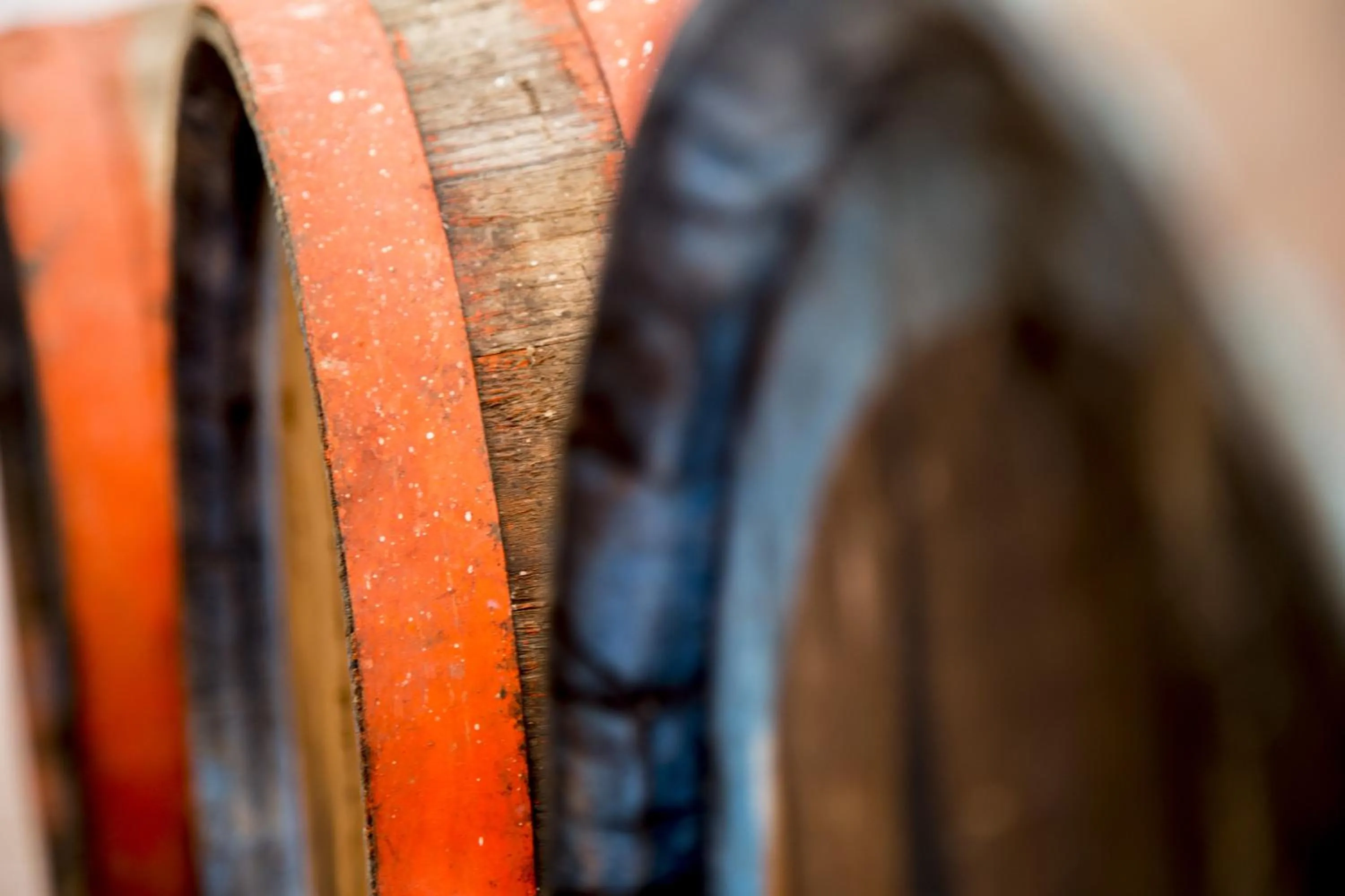 Other in Gatto Bianco Tizzauli