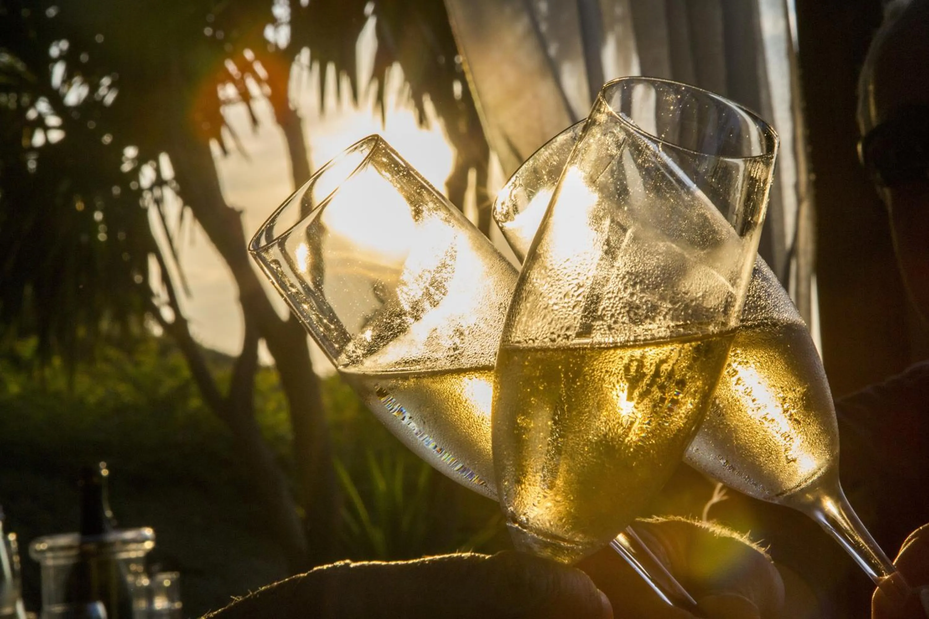 Alcoholic drinks in Hotel Santo Stefano