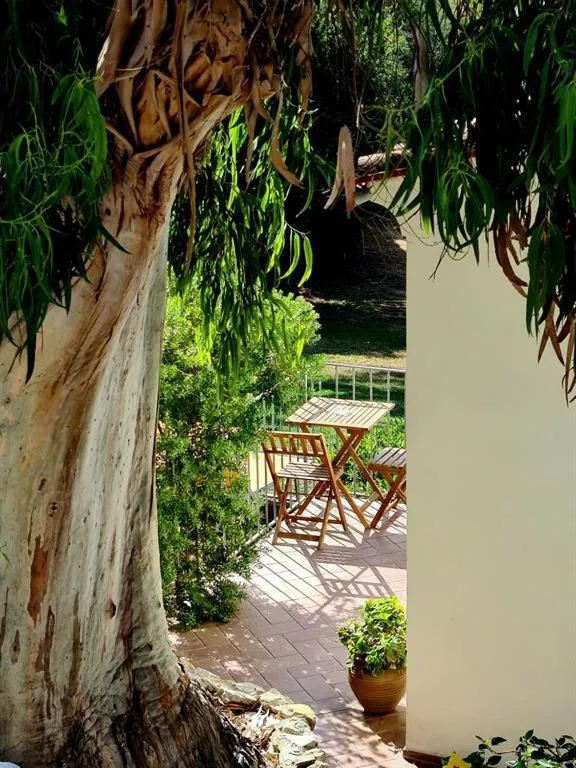 Garden view in Hotel Santo Stefano